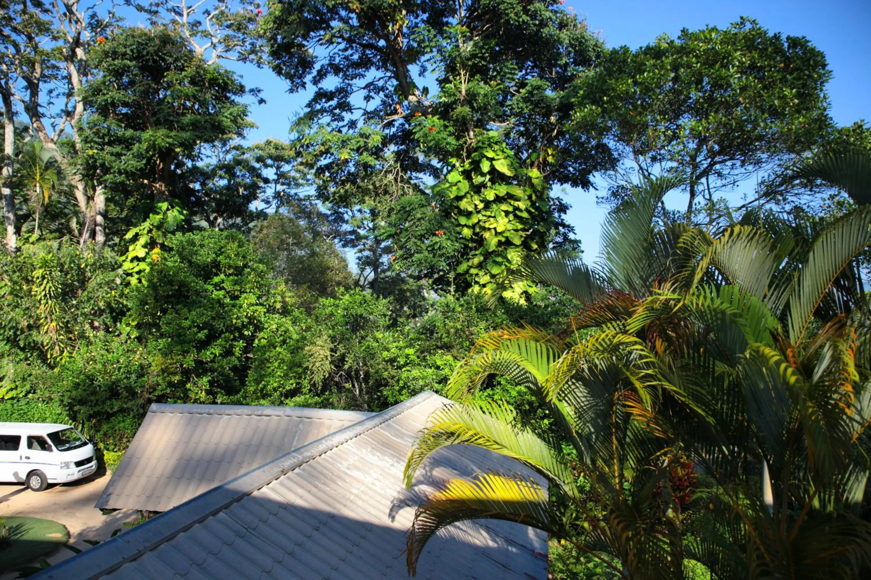 Garden view in Sunnyside Holiday Bungalow