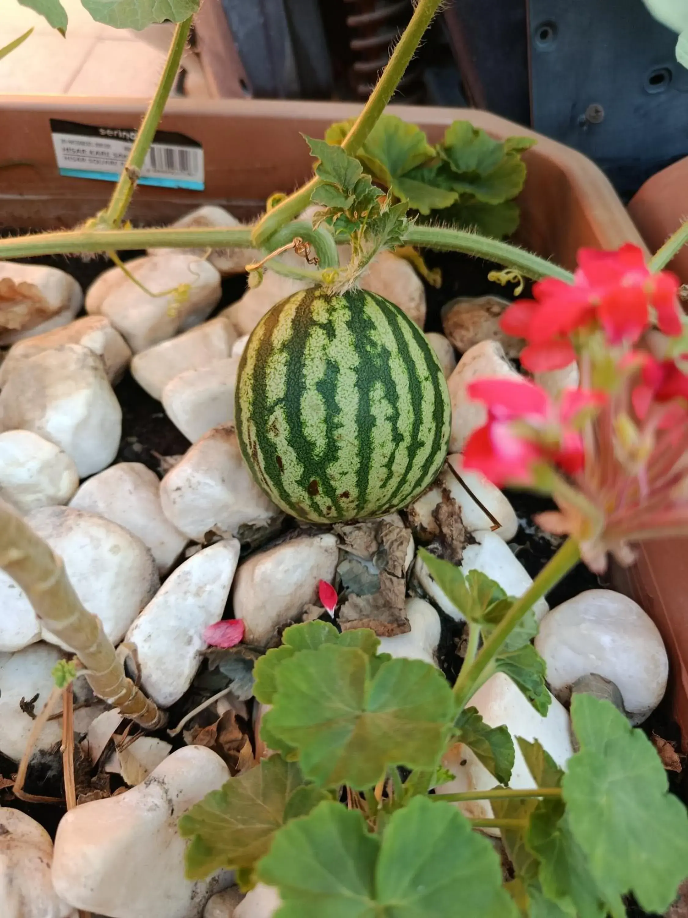 Property building in Sultan Hostel & Guesthouse Property building in Sultan Hostel & Guesthouse