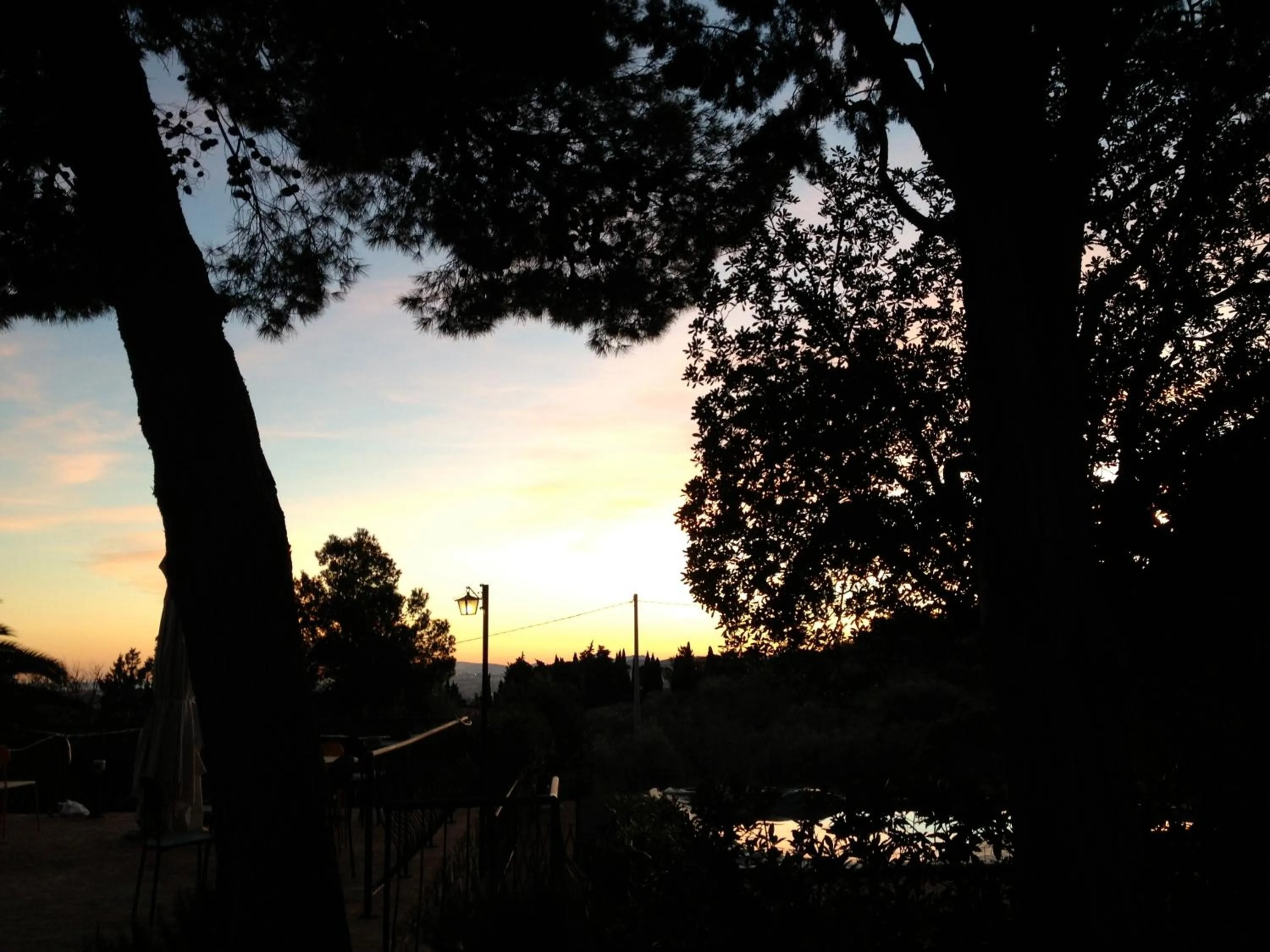 Garden in Dolce Vita