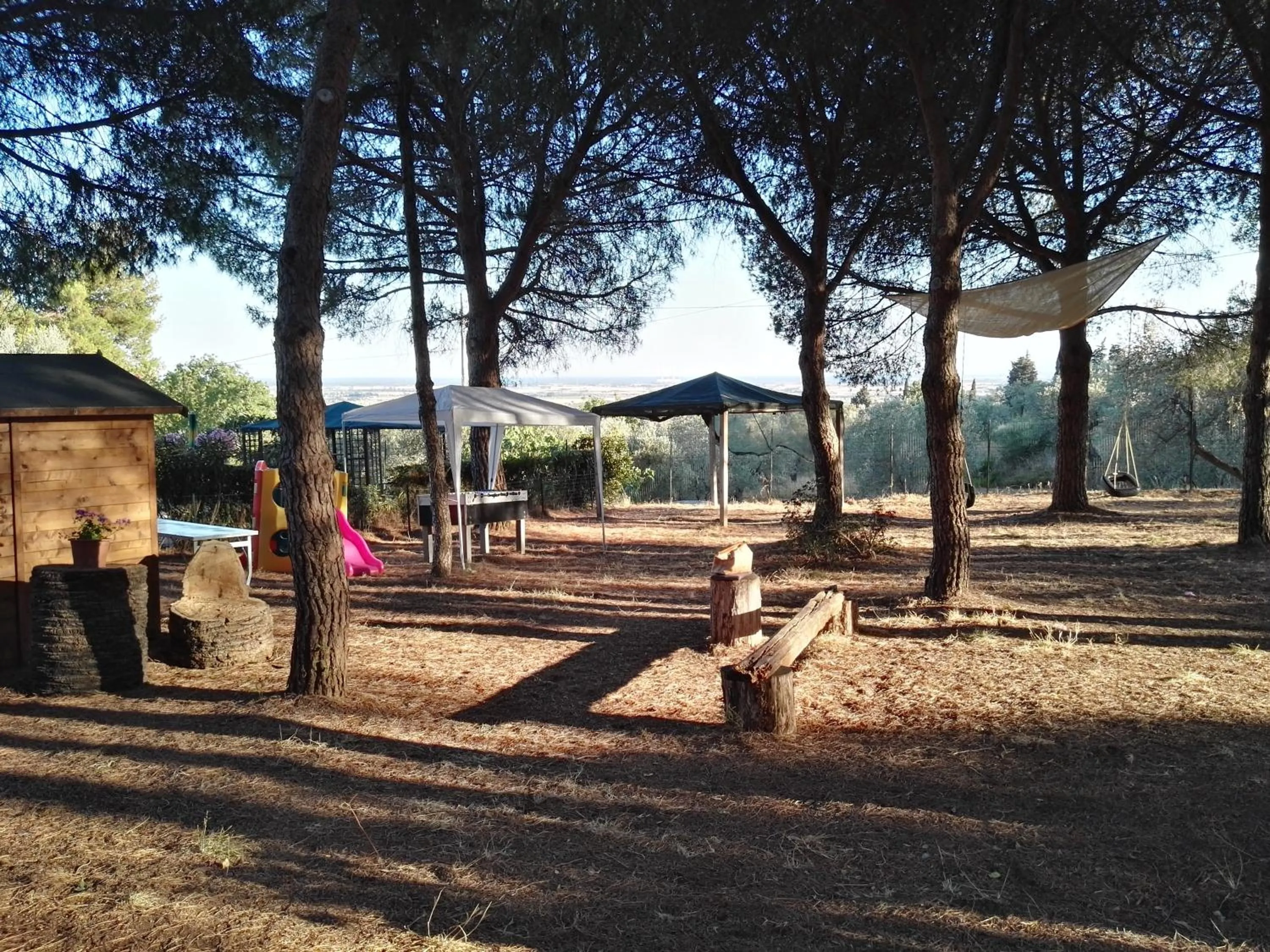 Garden in Dolce Vita