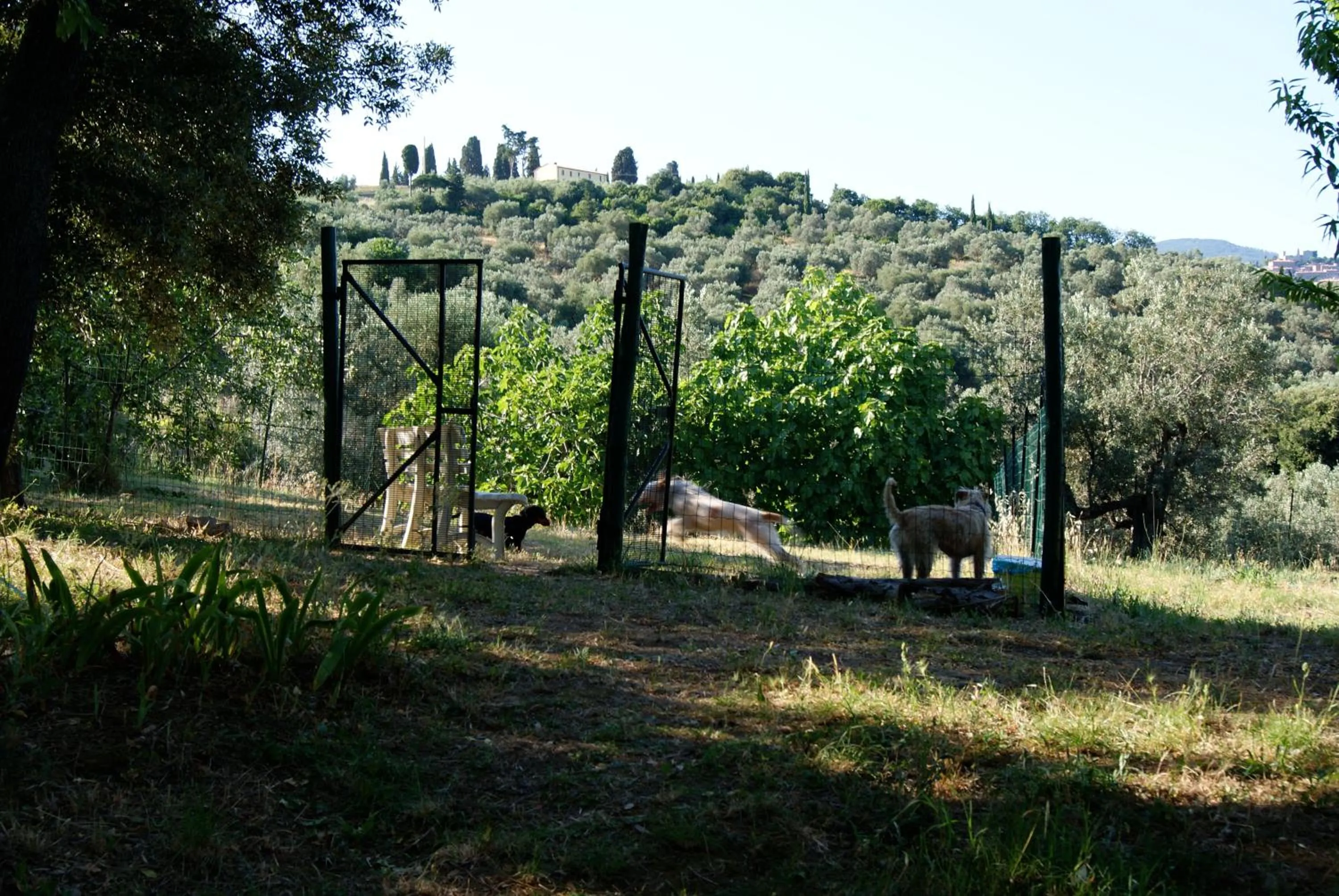 Garden in Dolce Vita