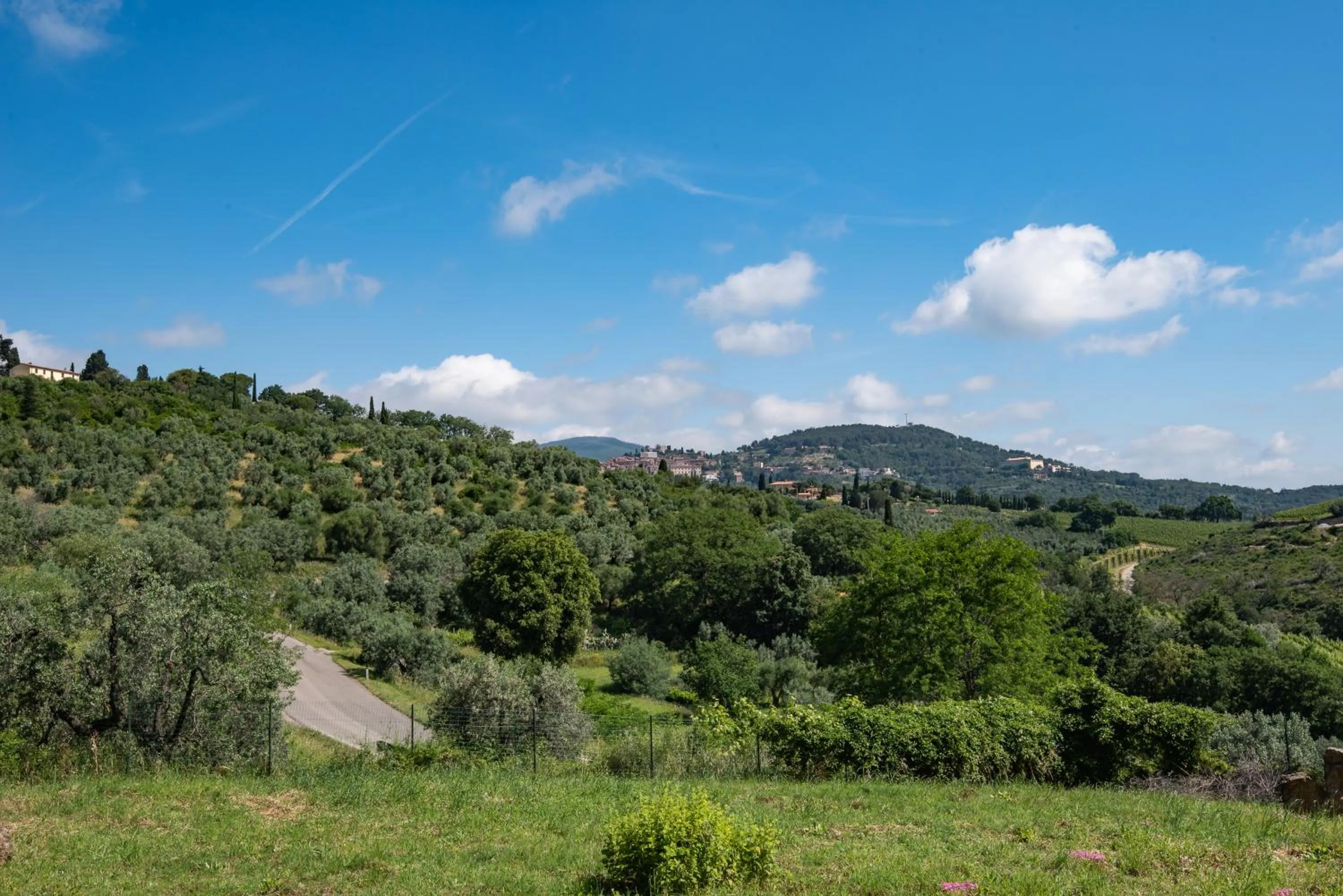View (from property/room) in Dolce Vita