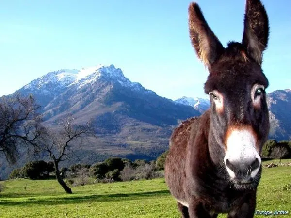 Day in L'Alivi di l'Osari