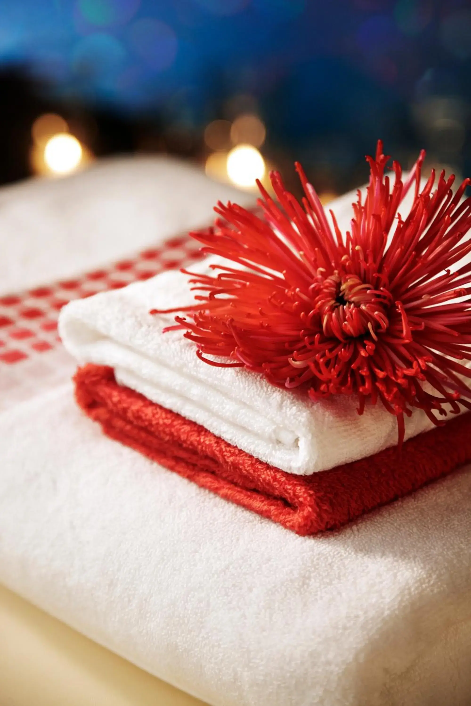 Spa and wellness centre/facilities in Gir Serai - IHCL SeleQtions Spa and wellness centre/facilities in Gir Serai - IHCL SeleQtions