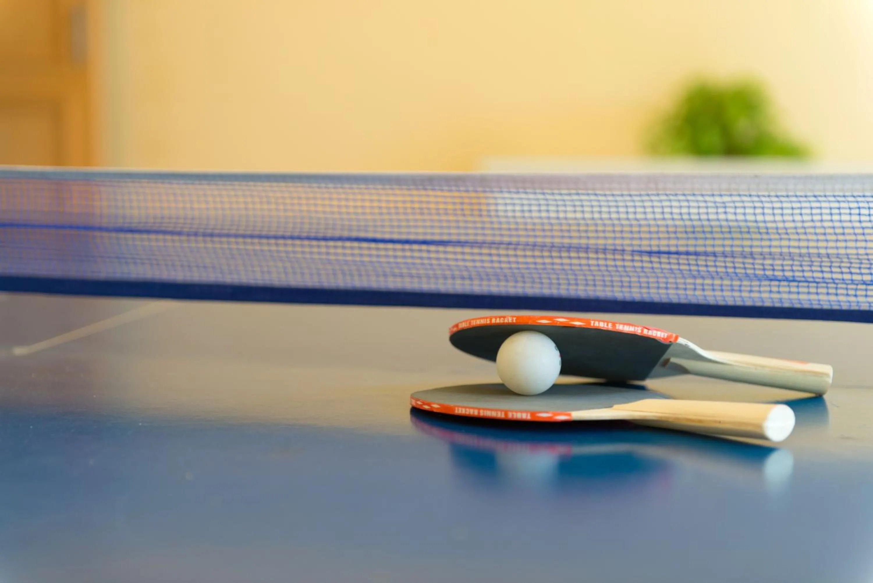 Table tennis in Gir Serai - IHCL SeleQtions