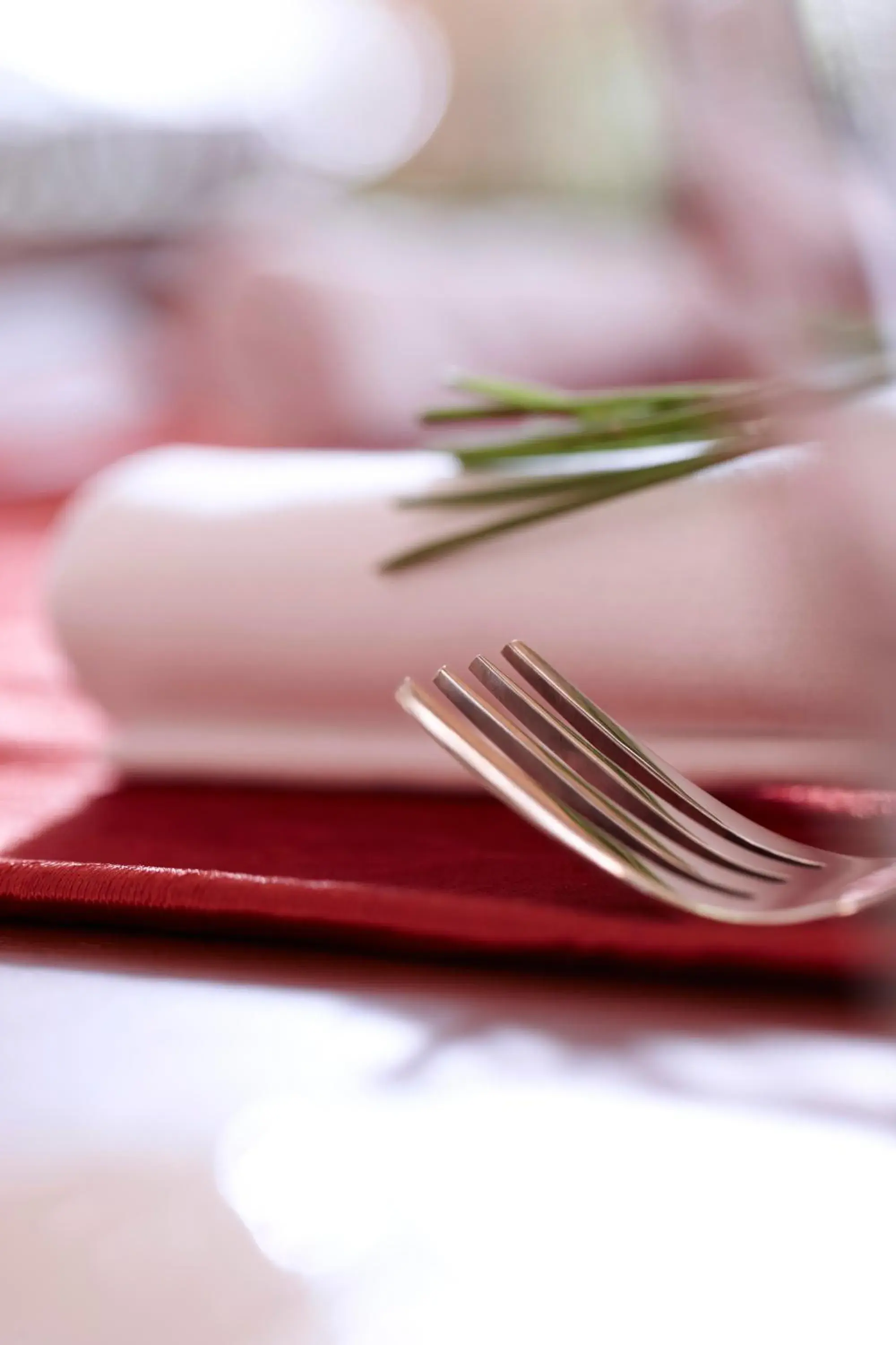 Restaurant/places to eat in Gir Serai - IHCL SeleQtions Restaurant/places to eat in Gir Serai - IHCL SeleQtions