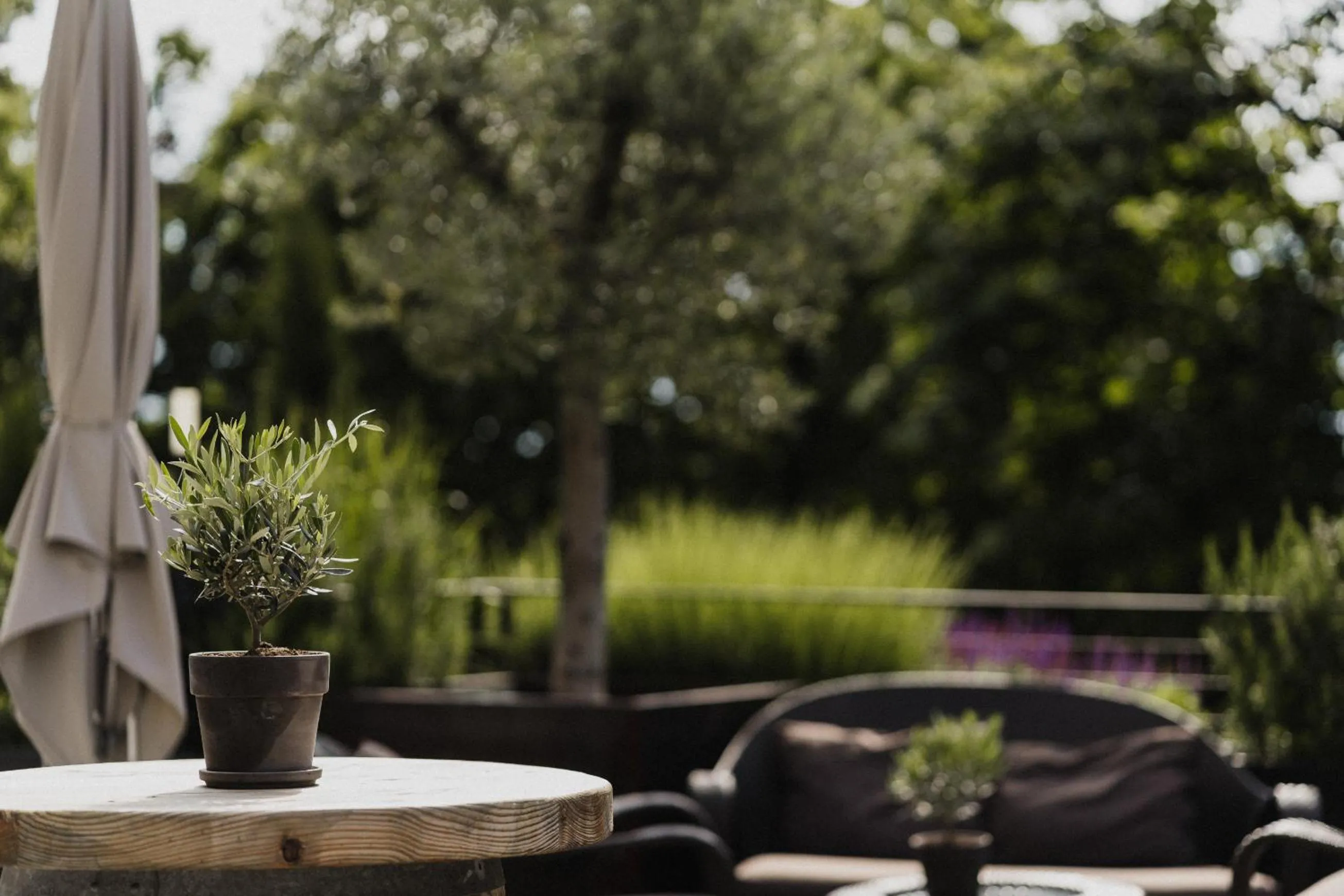 Balcony/Terrace in Hotel Das Stachelburg