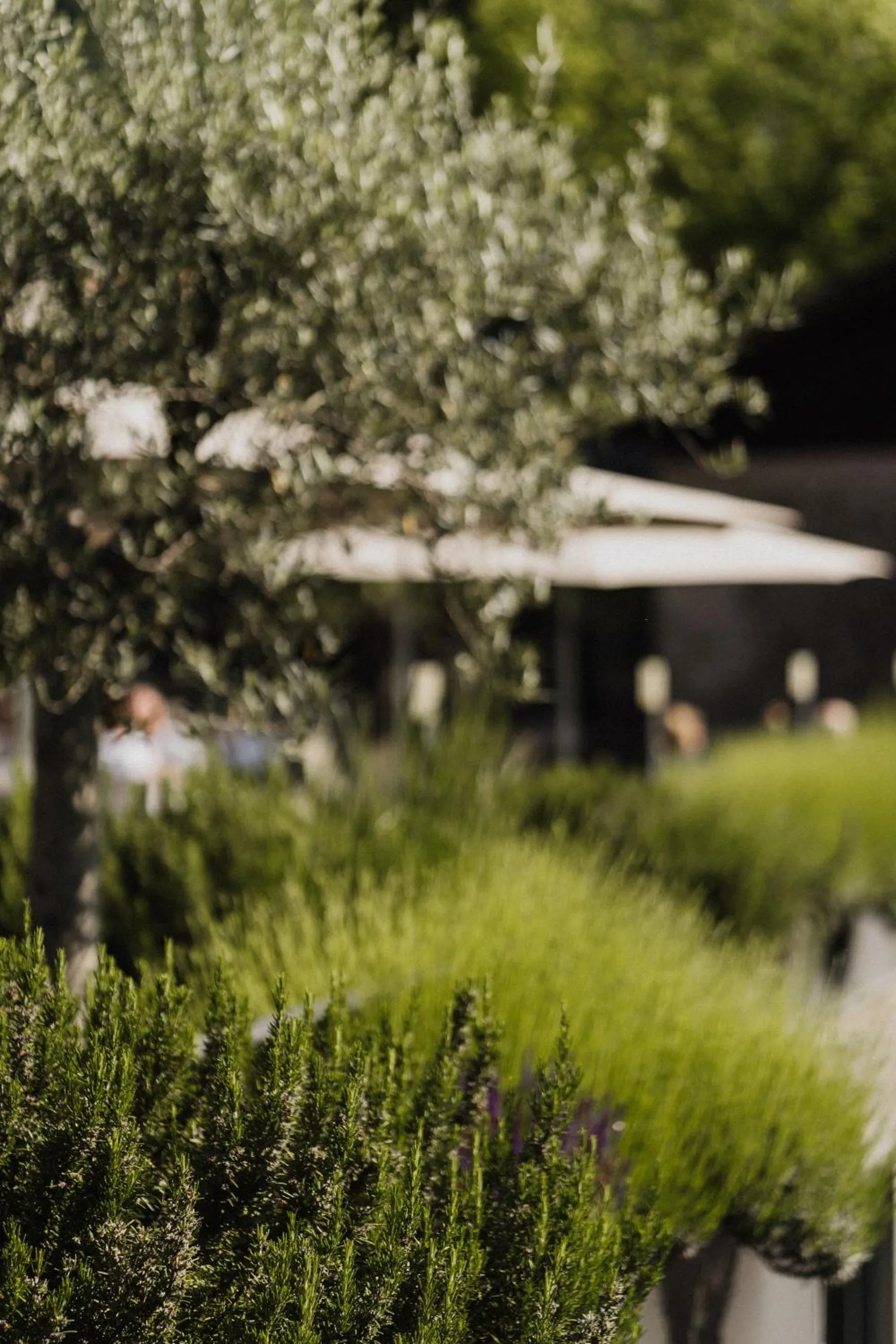 Property building in Hotel Das Stachelburg