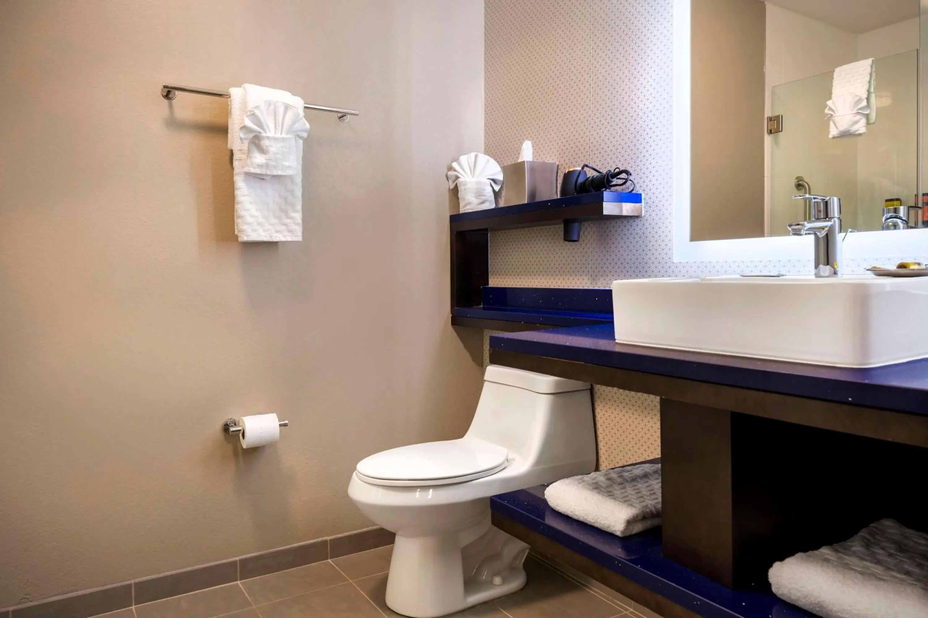 Bathroom in GLo Hotel Asheville-Blue Ridge Parkway