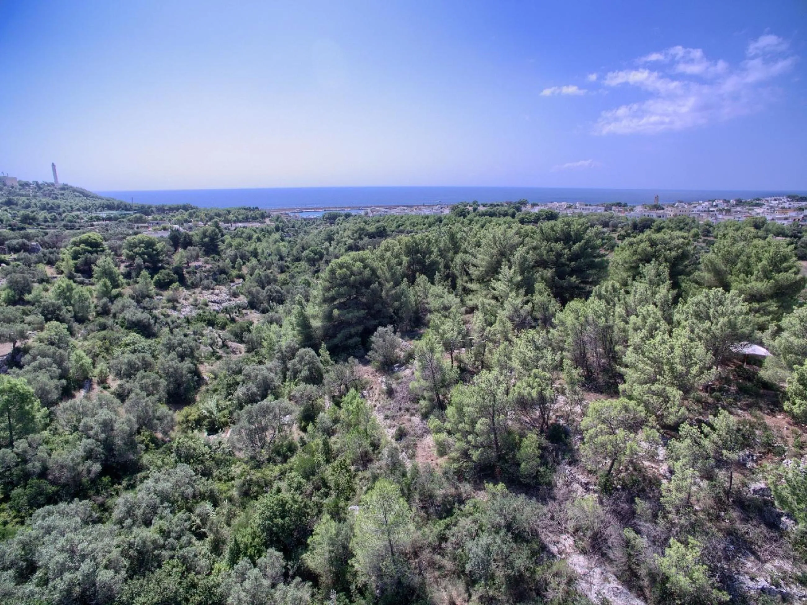 La Macchia by LoveSud