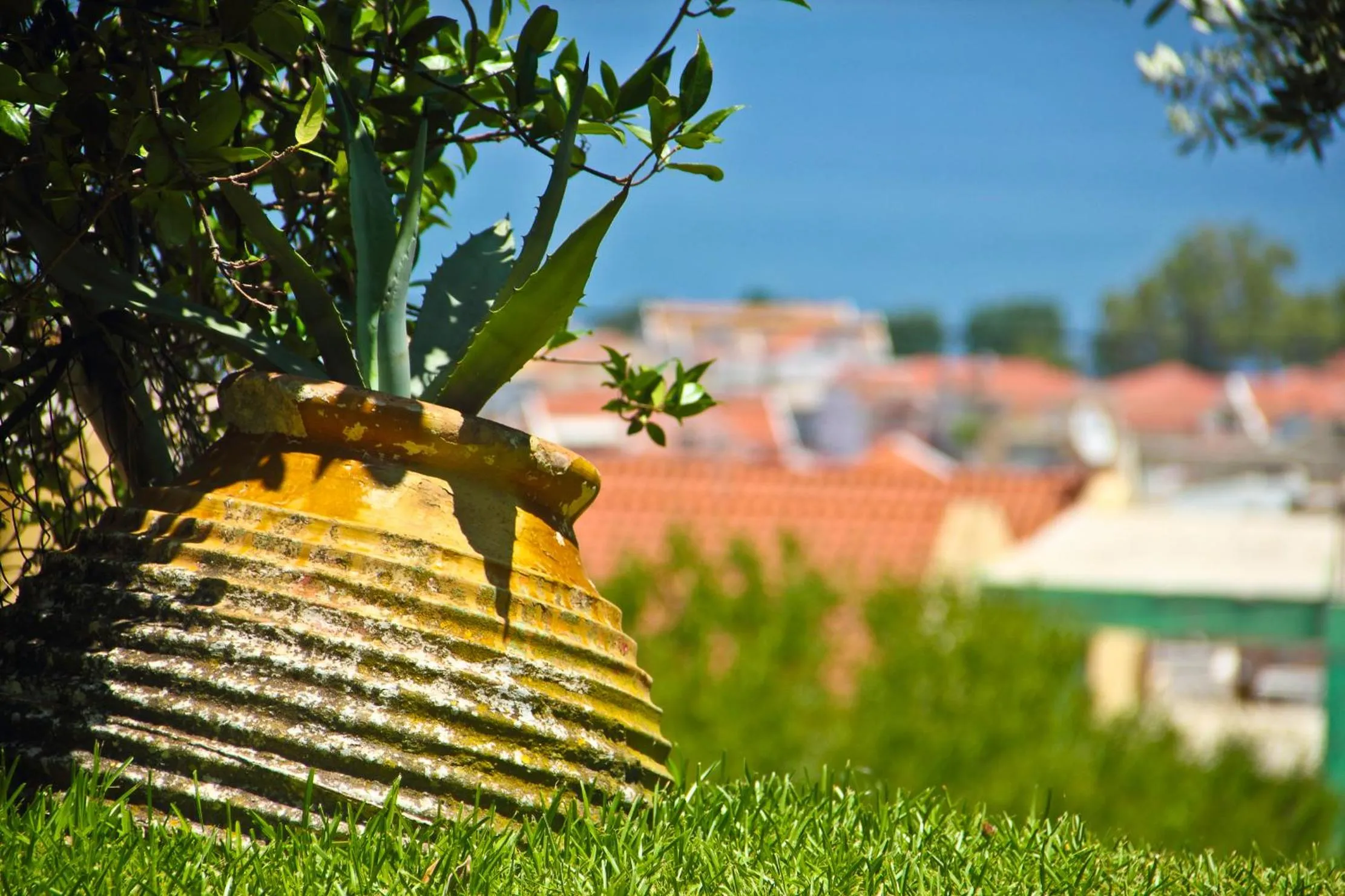 Garden in Liostasi Retreat