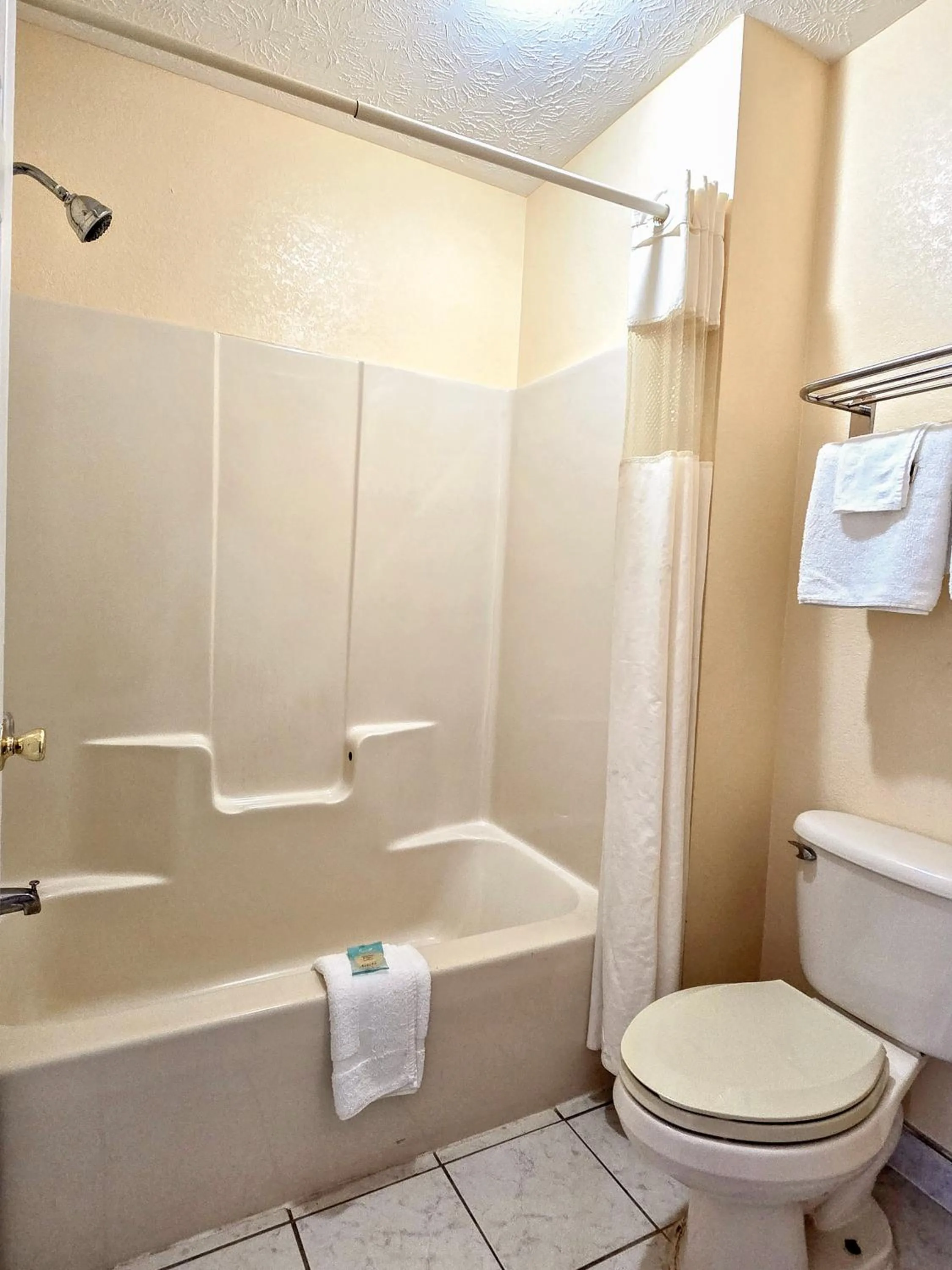 Bathroom in Garden Inn and Suites near Callaway Gardens Pine Mountain