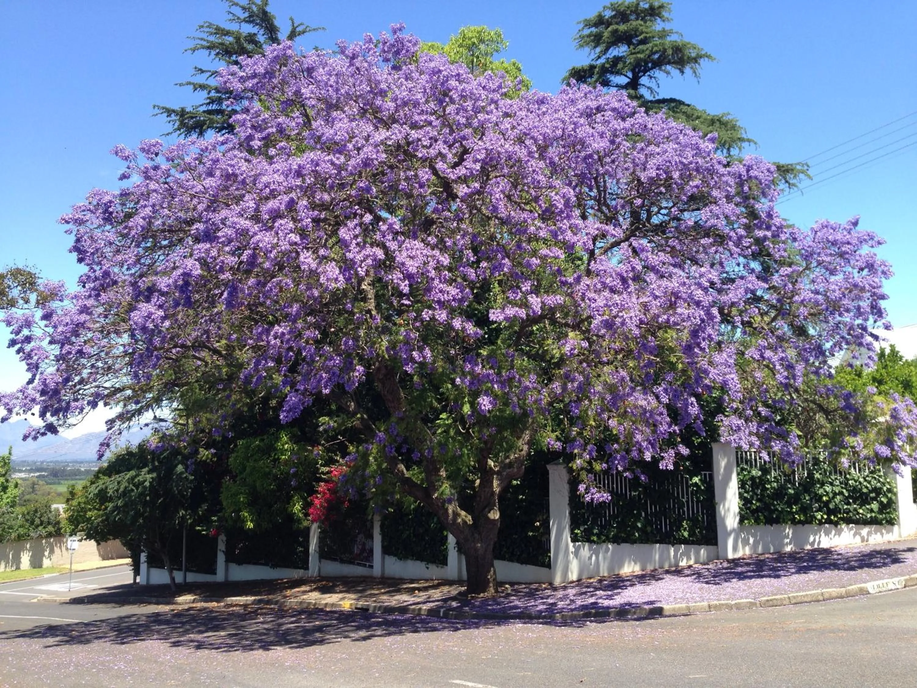 Nearby landmark in Alba House Guest House