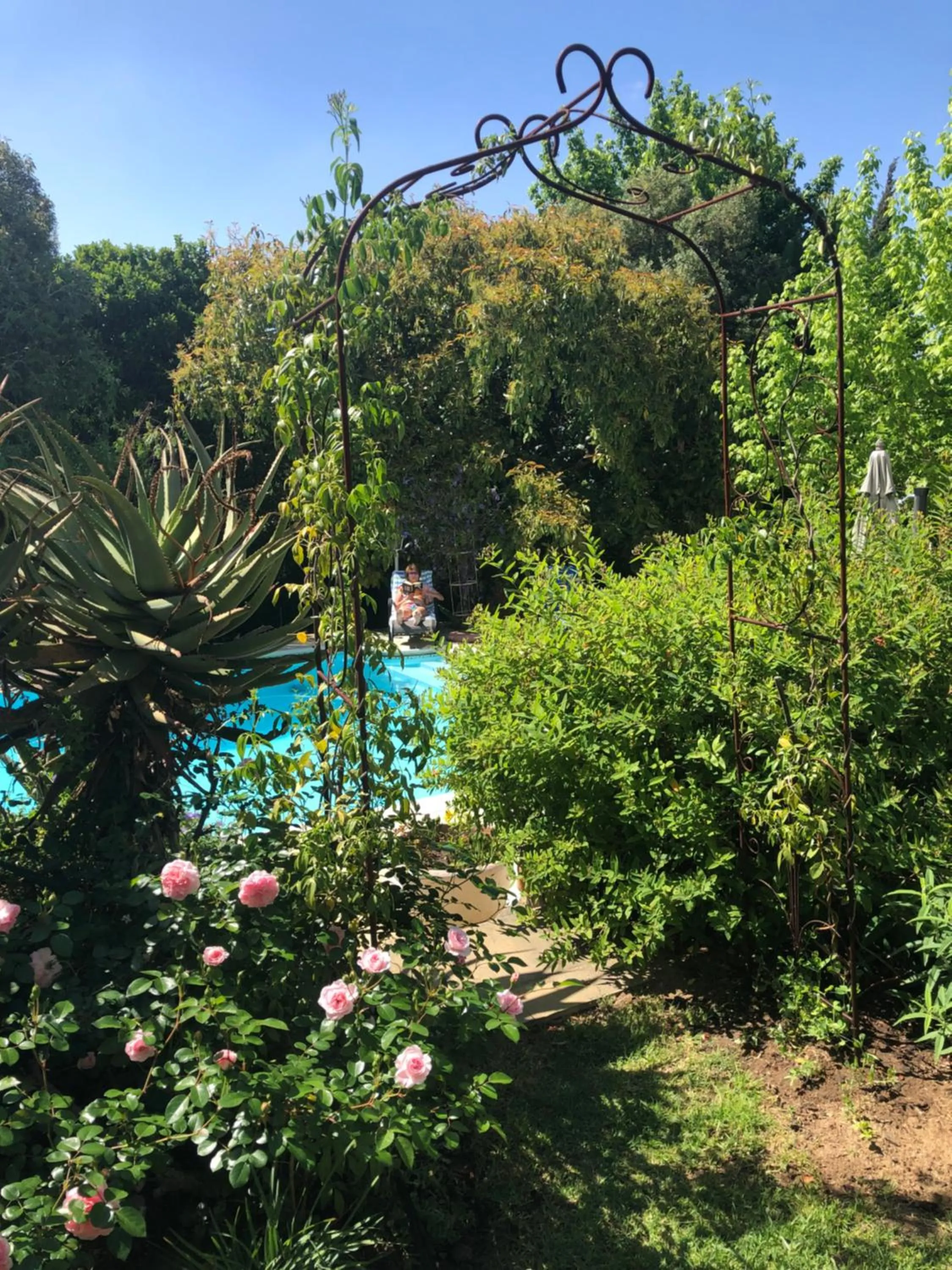 Day in Alba House Guest House