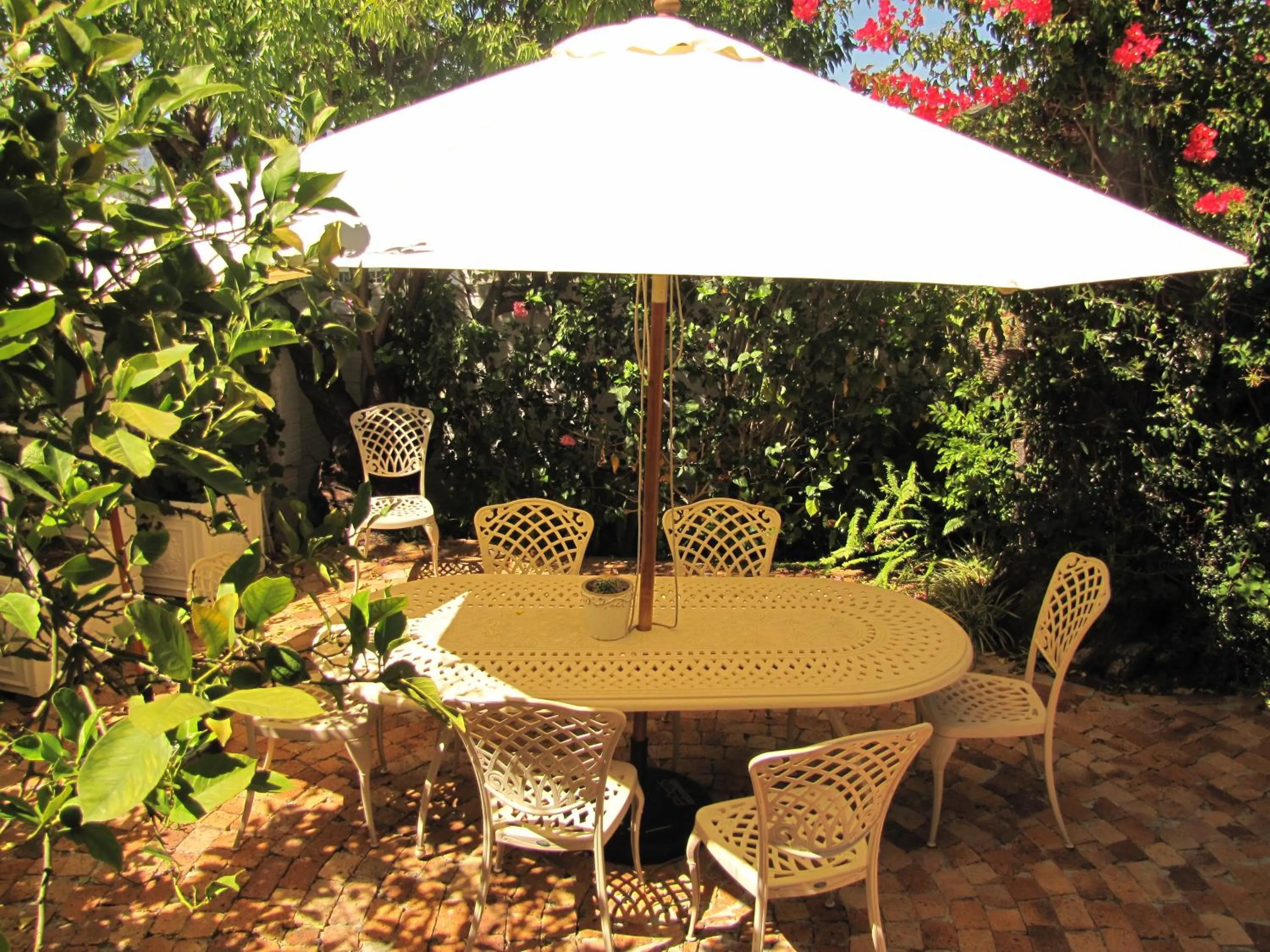 Patio in Alba House Guest House