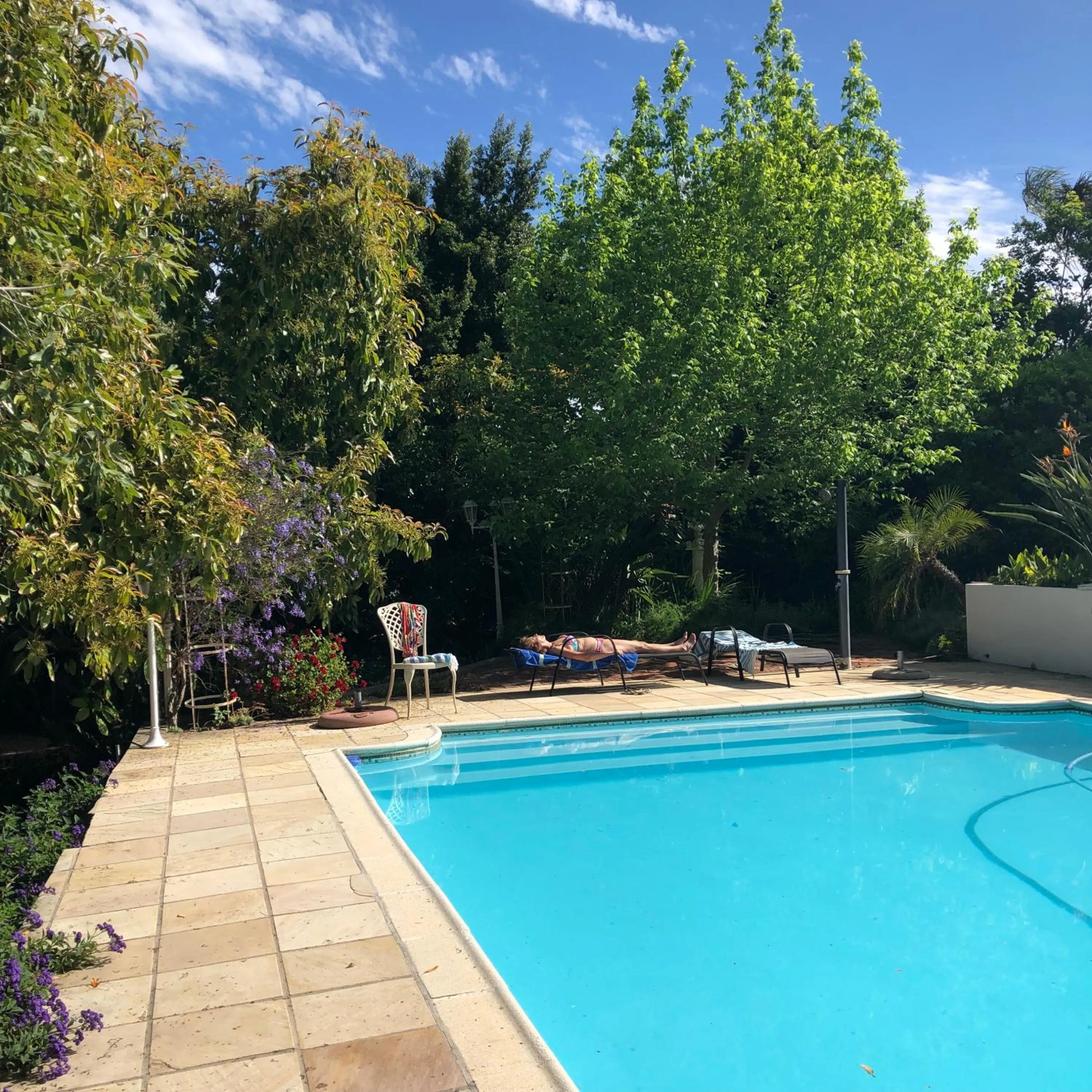 Garden in Alba House Guest House