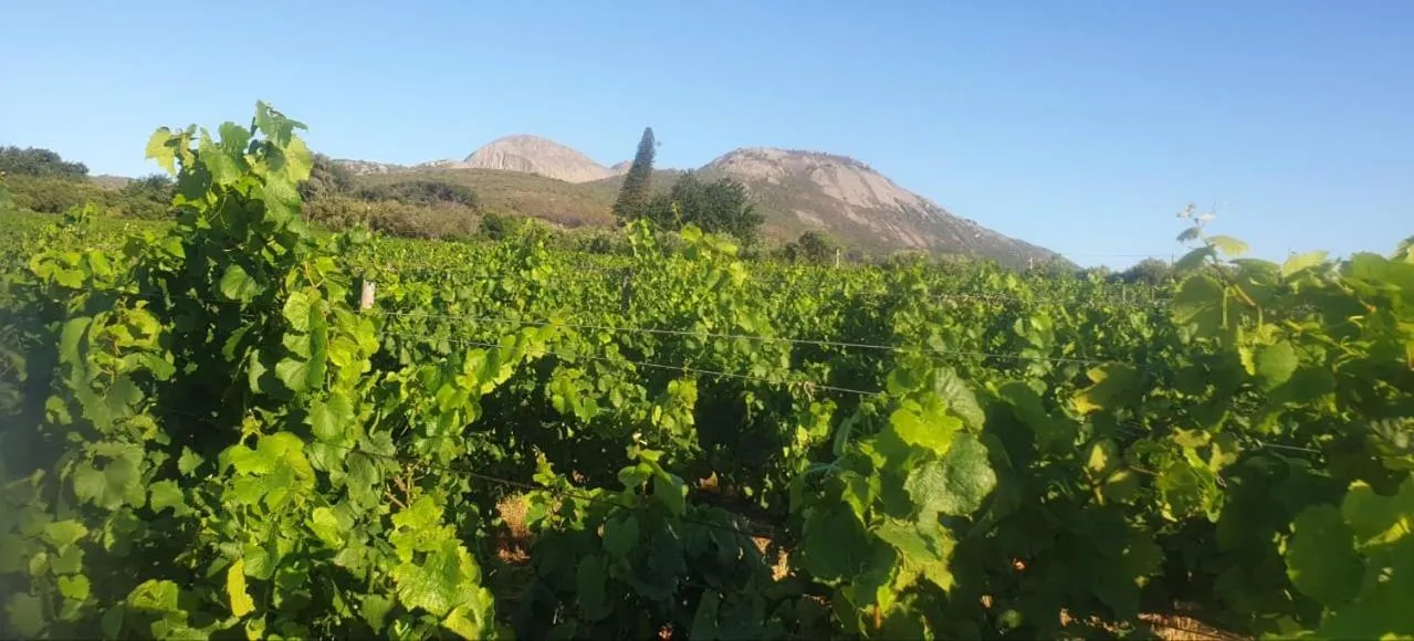 Neighbourhood in Alba House Guest House