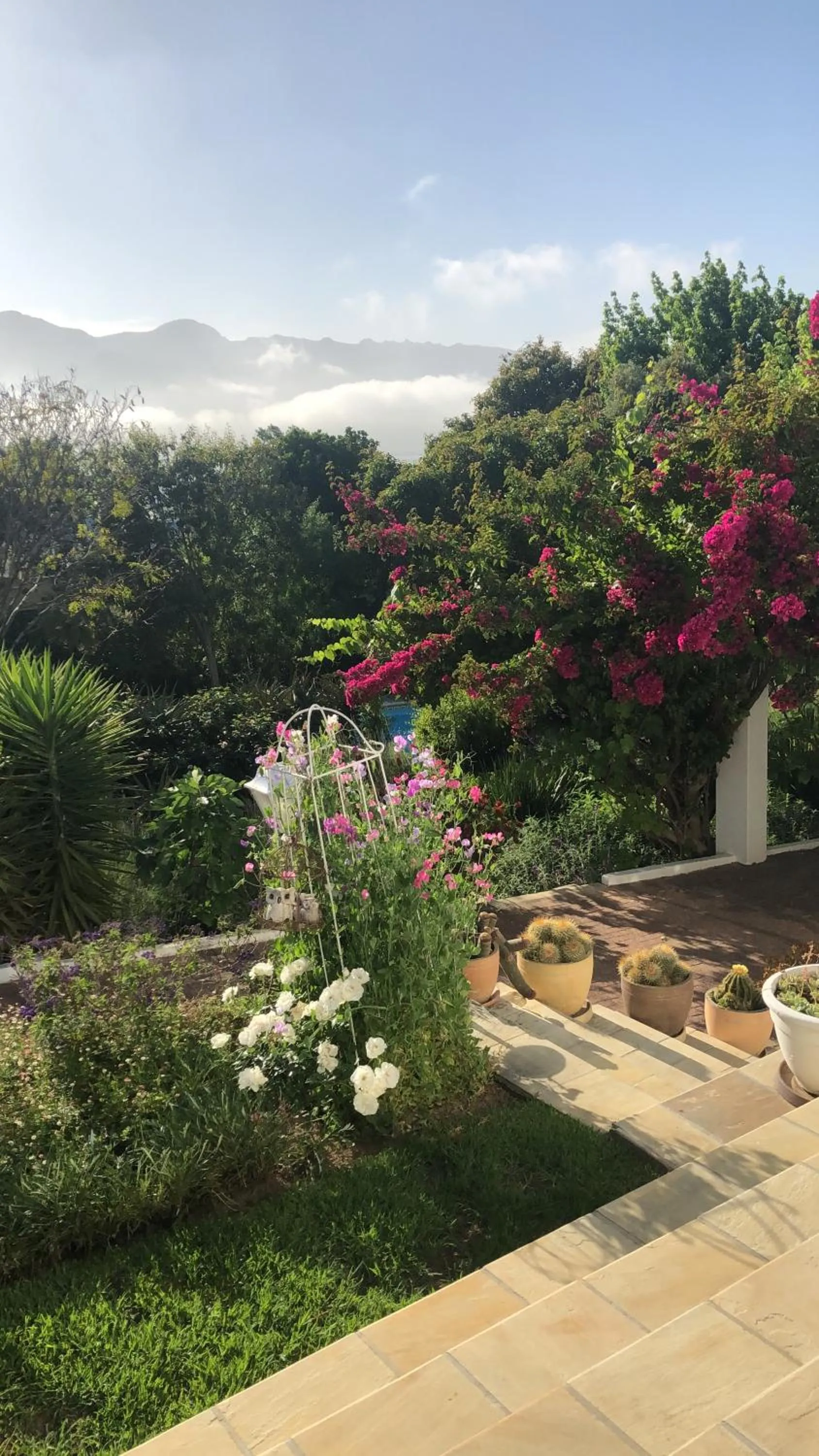 Day in Alba House Guest House