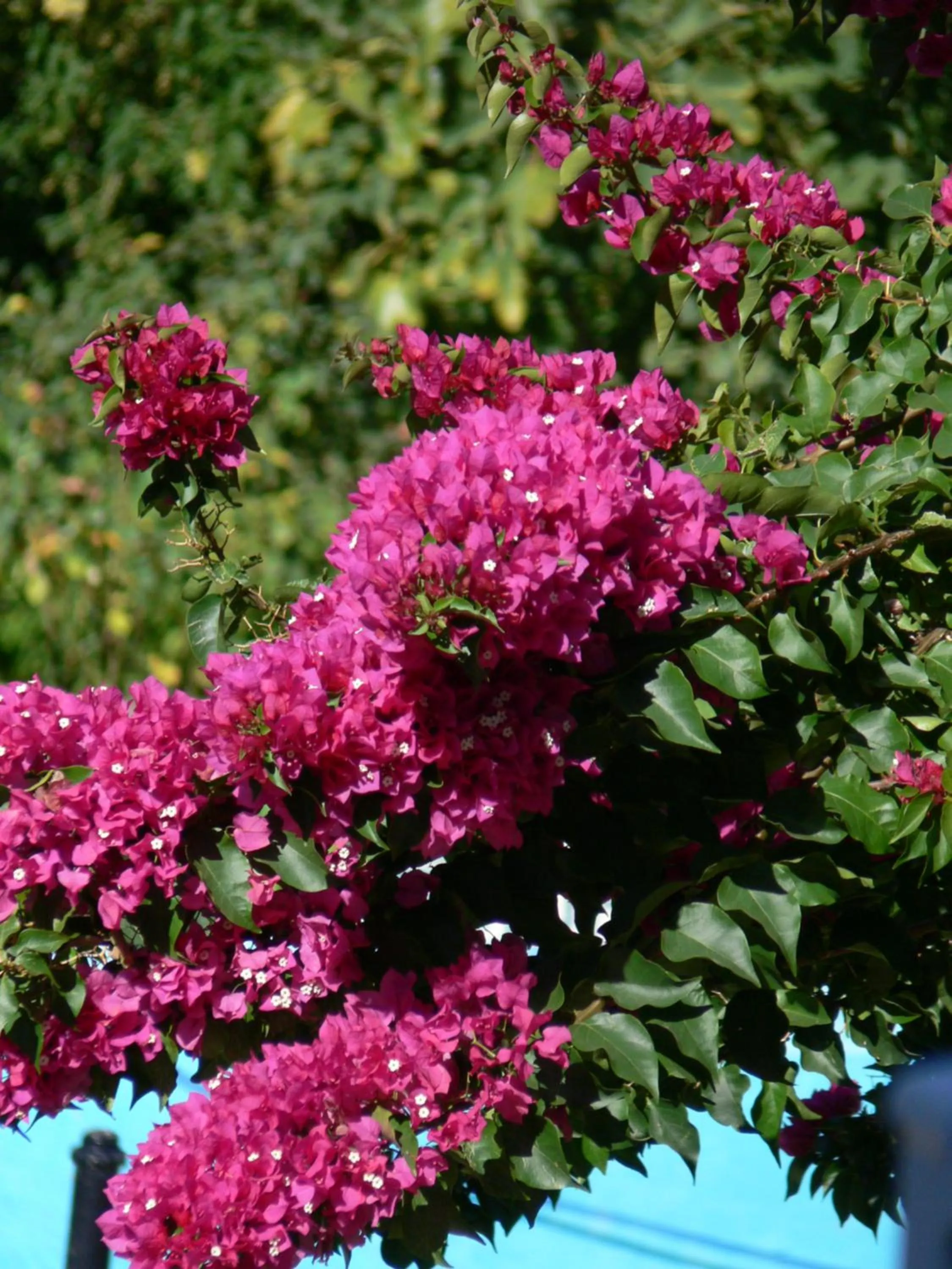 Day in Alba House Guest House