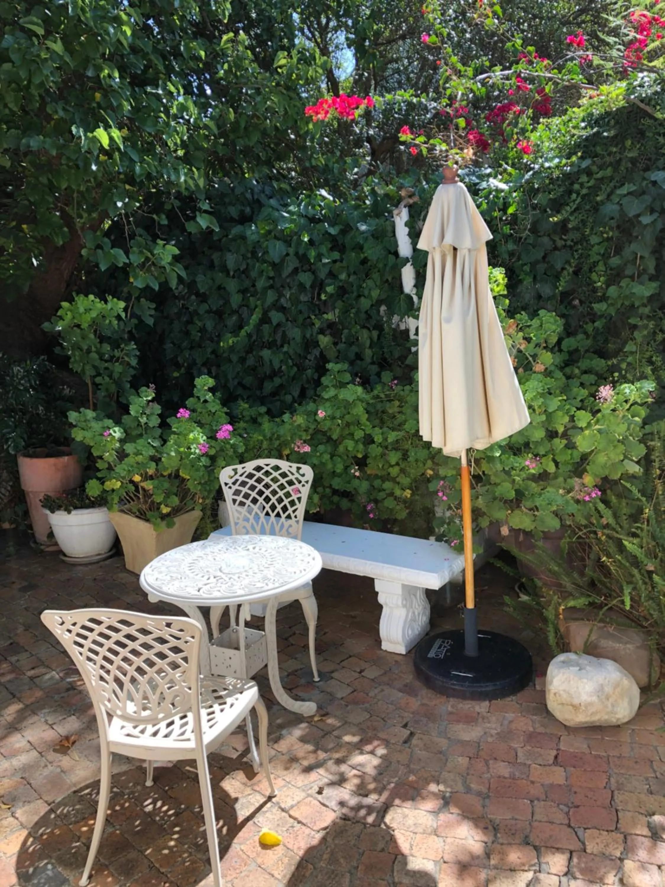 Day in Alba House Guest House