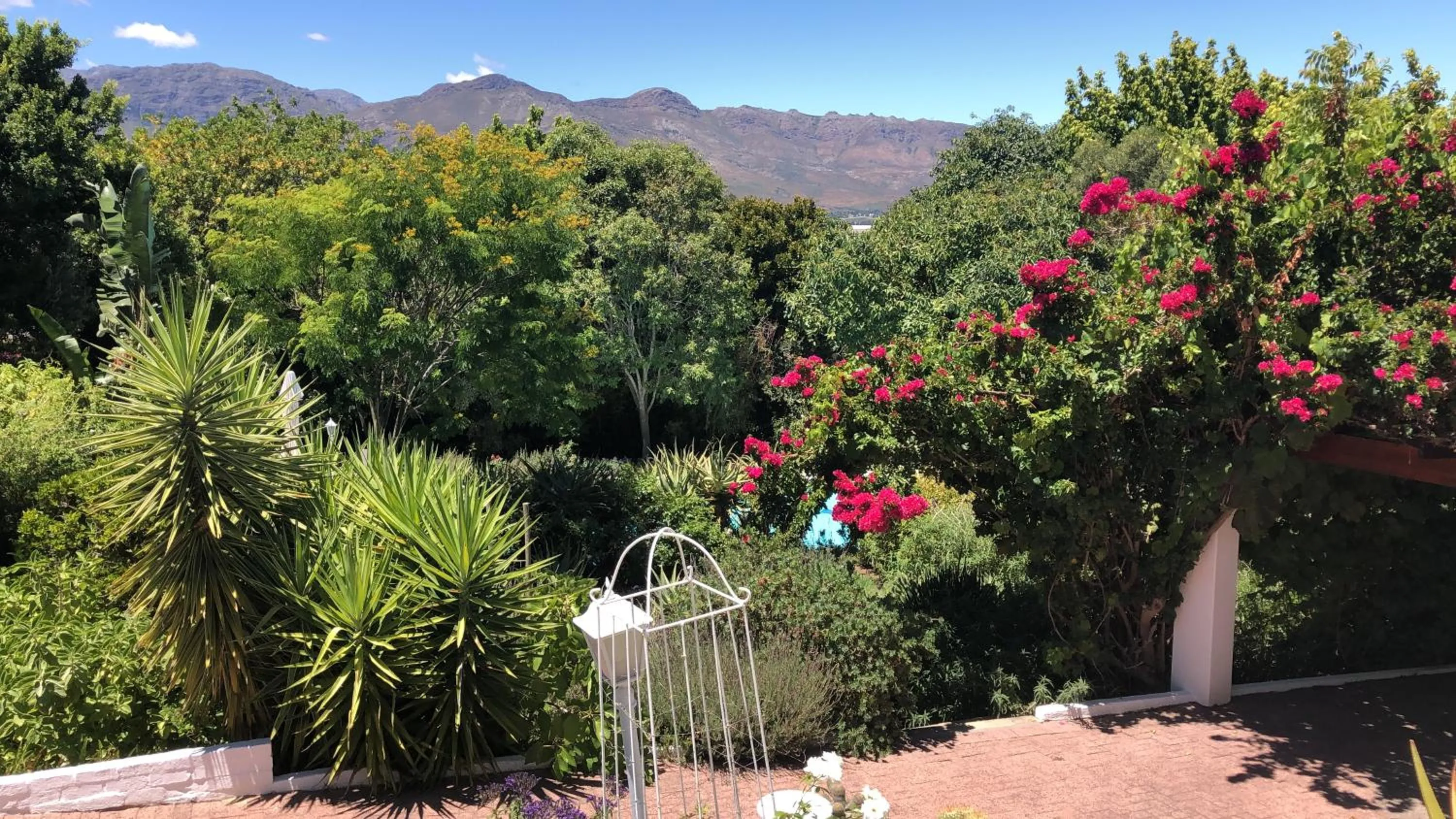 Day in Alba House Guest House