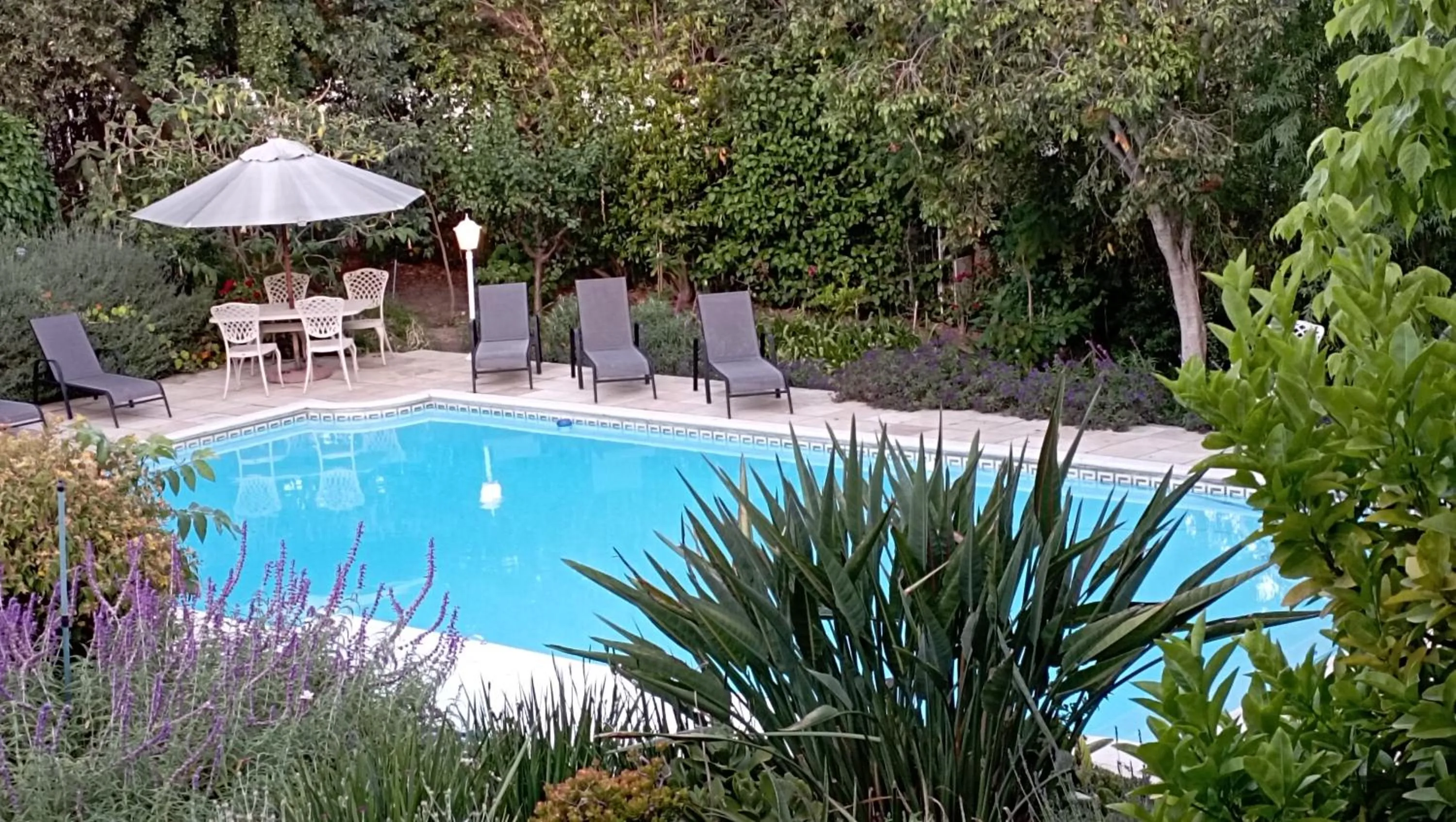 Day in Alba House Guest House