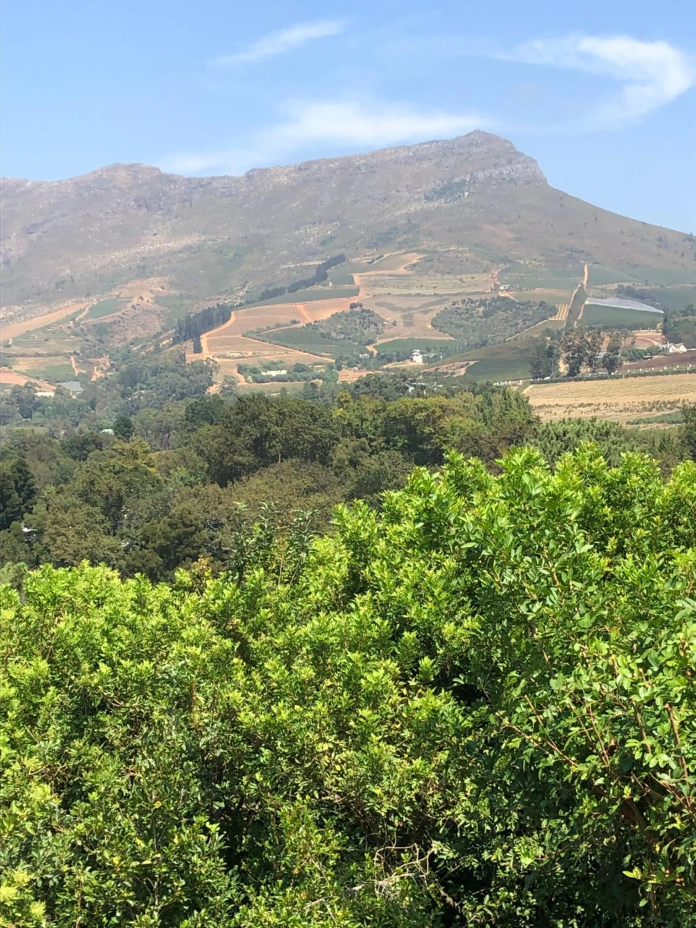 Landmark view in Alba House Guest House