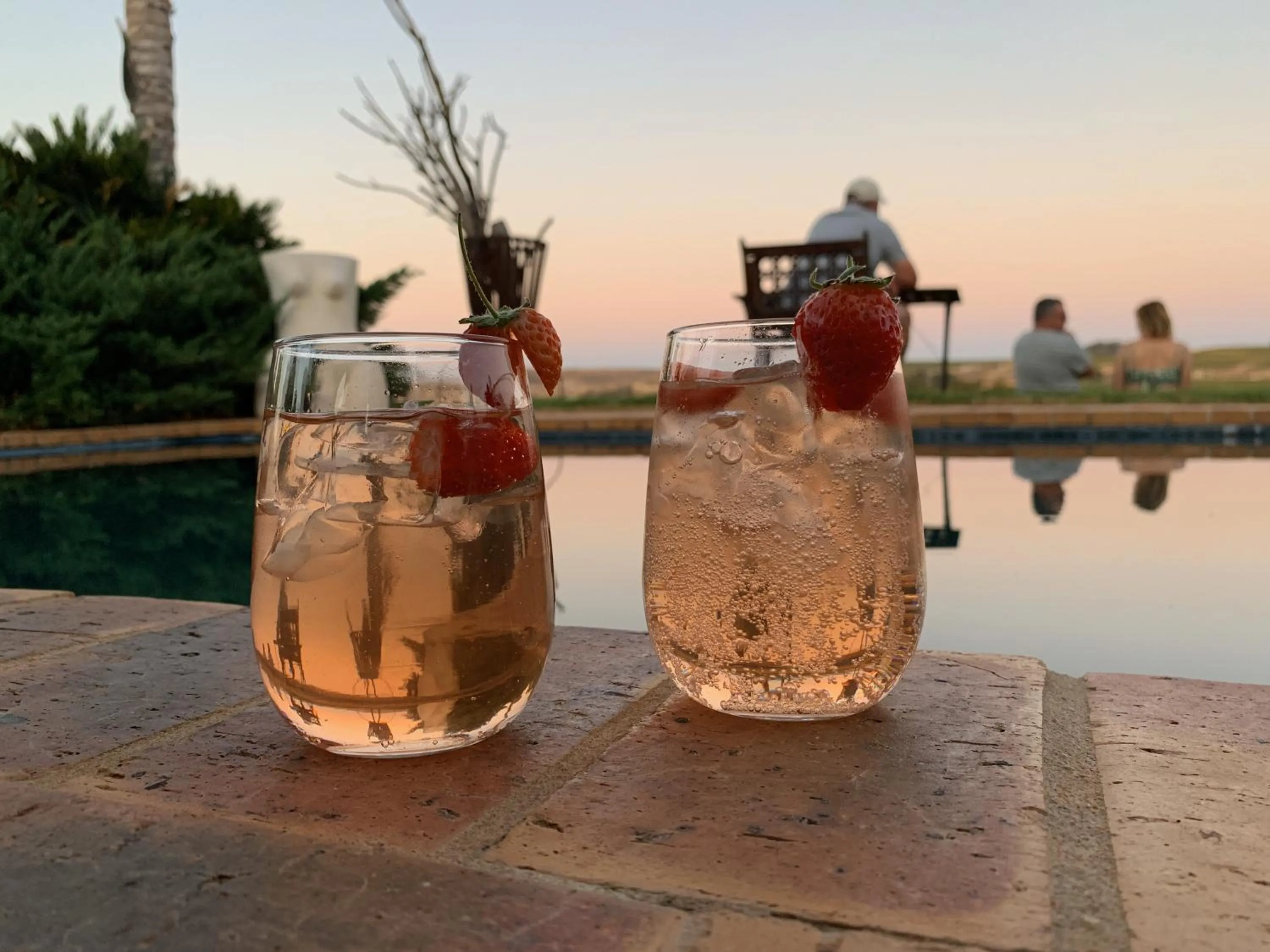 Drinks in Melkboomsdrift Guest House & Conference Centre