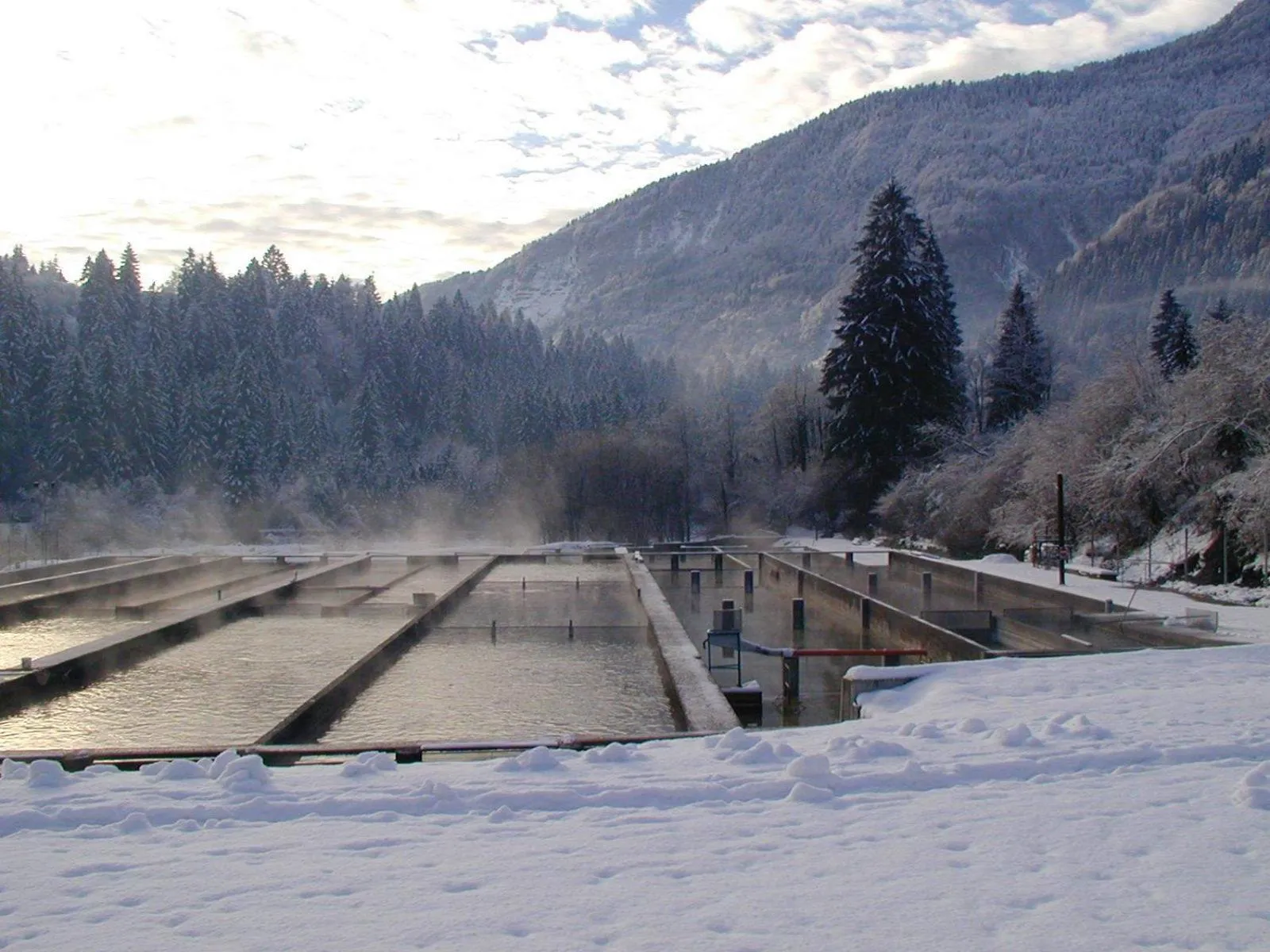 Area and facilities in Affittacamere Alle Trote