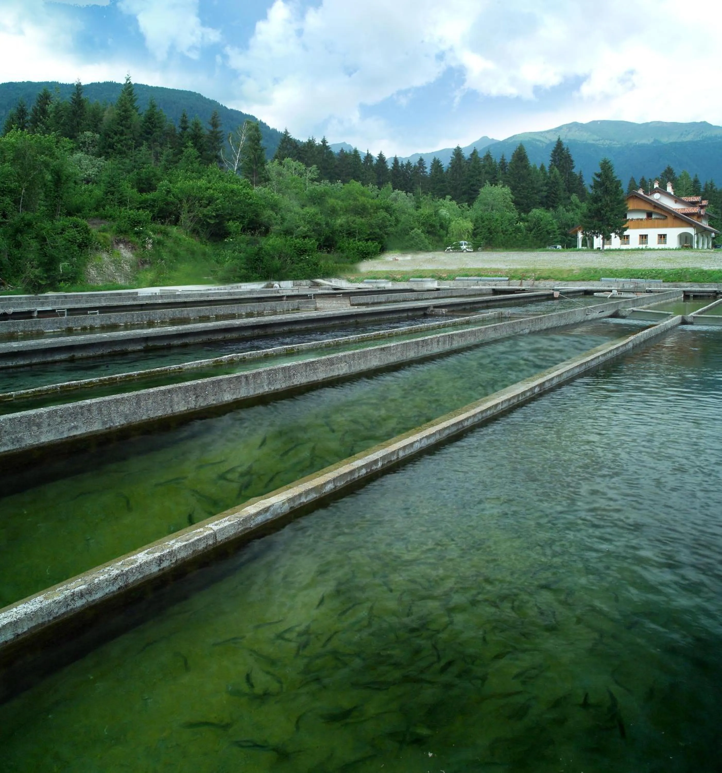 Area and facilities in Affittacamere Alle Trote