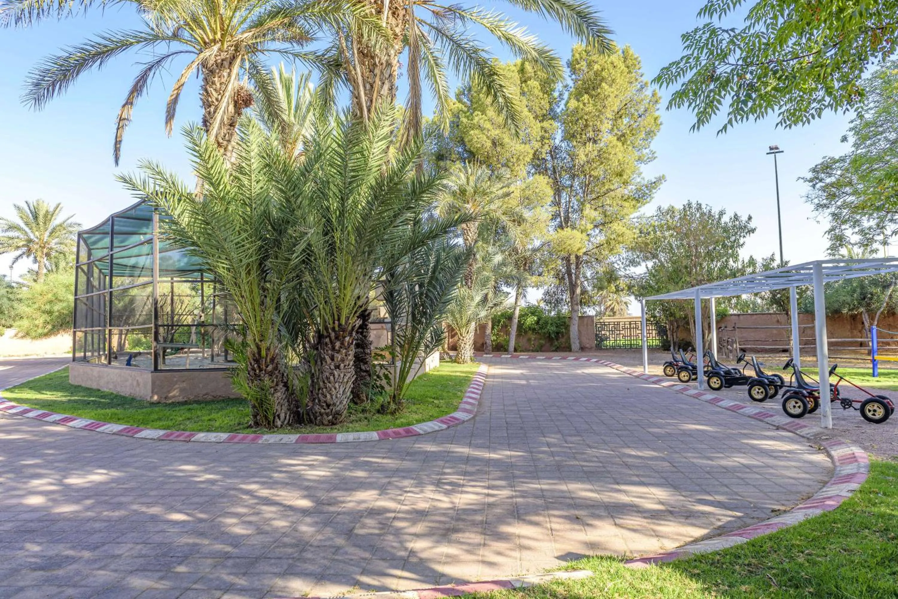 Sports in Barceló Palmeraie Oasis Resort