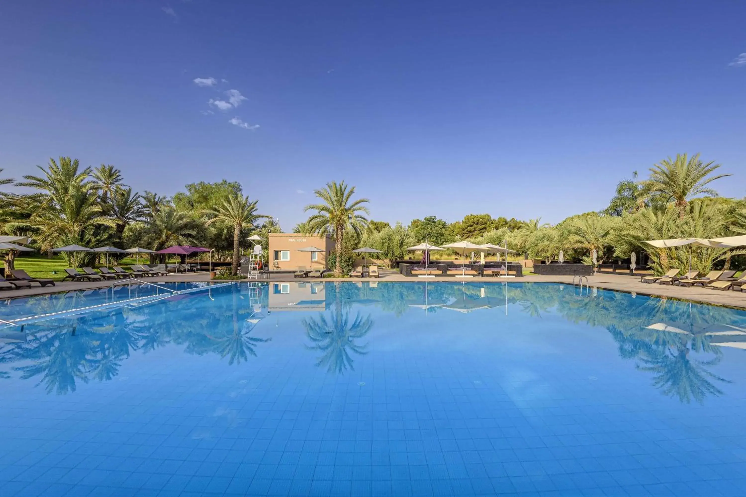 Pool view in Barceló Palmeraie Oasis Resort Pool view in Barceló Palmeraie Oasis Resort