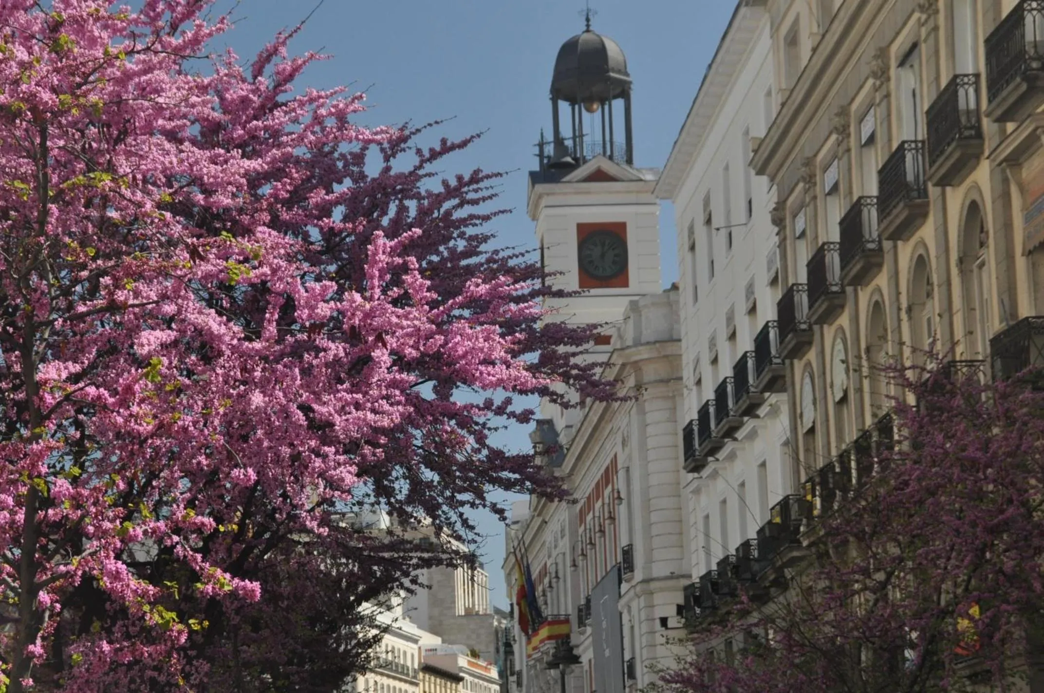 Nearby landmark in Hostal Patria Madrid