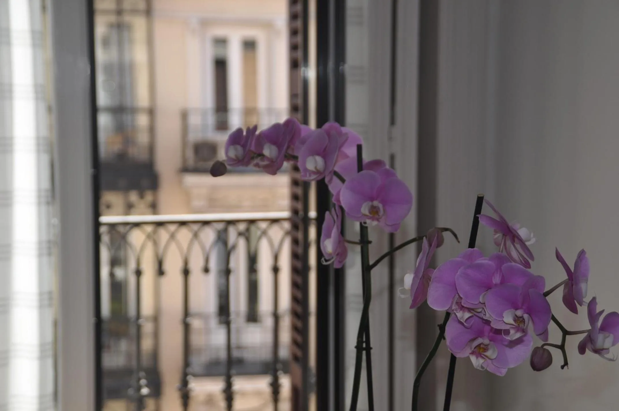 Balcony/Terrace in Hostal Patria Madrid
