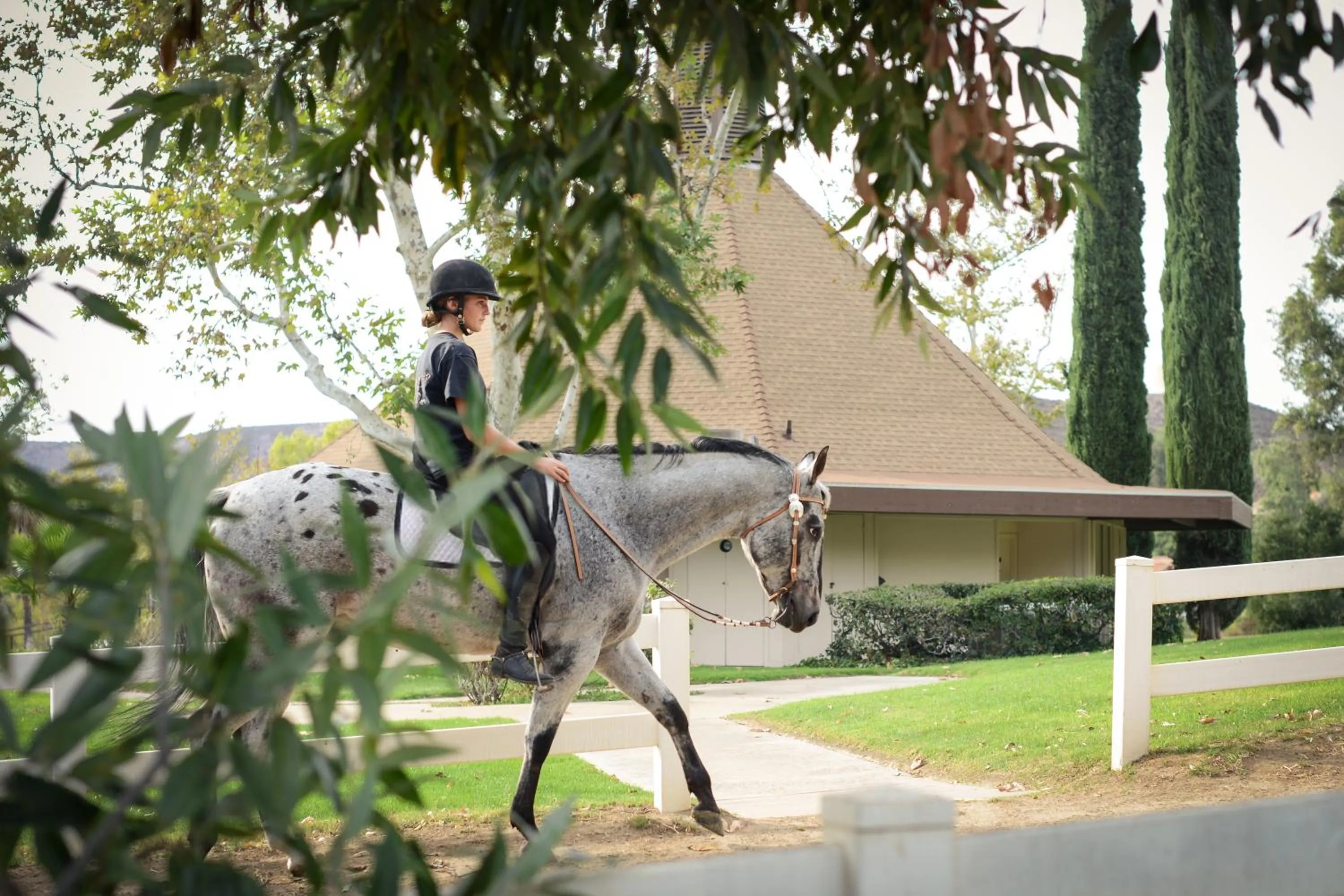 Horse-riding in San Vicente Golf Resort