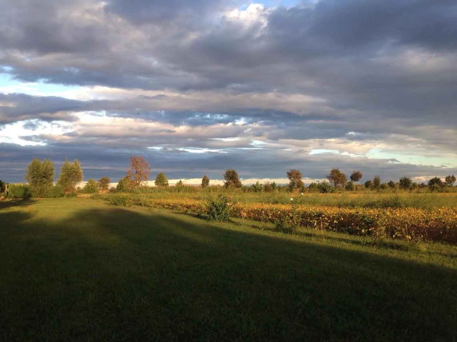Natural landscape in Antica Vigna
