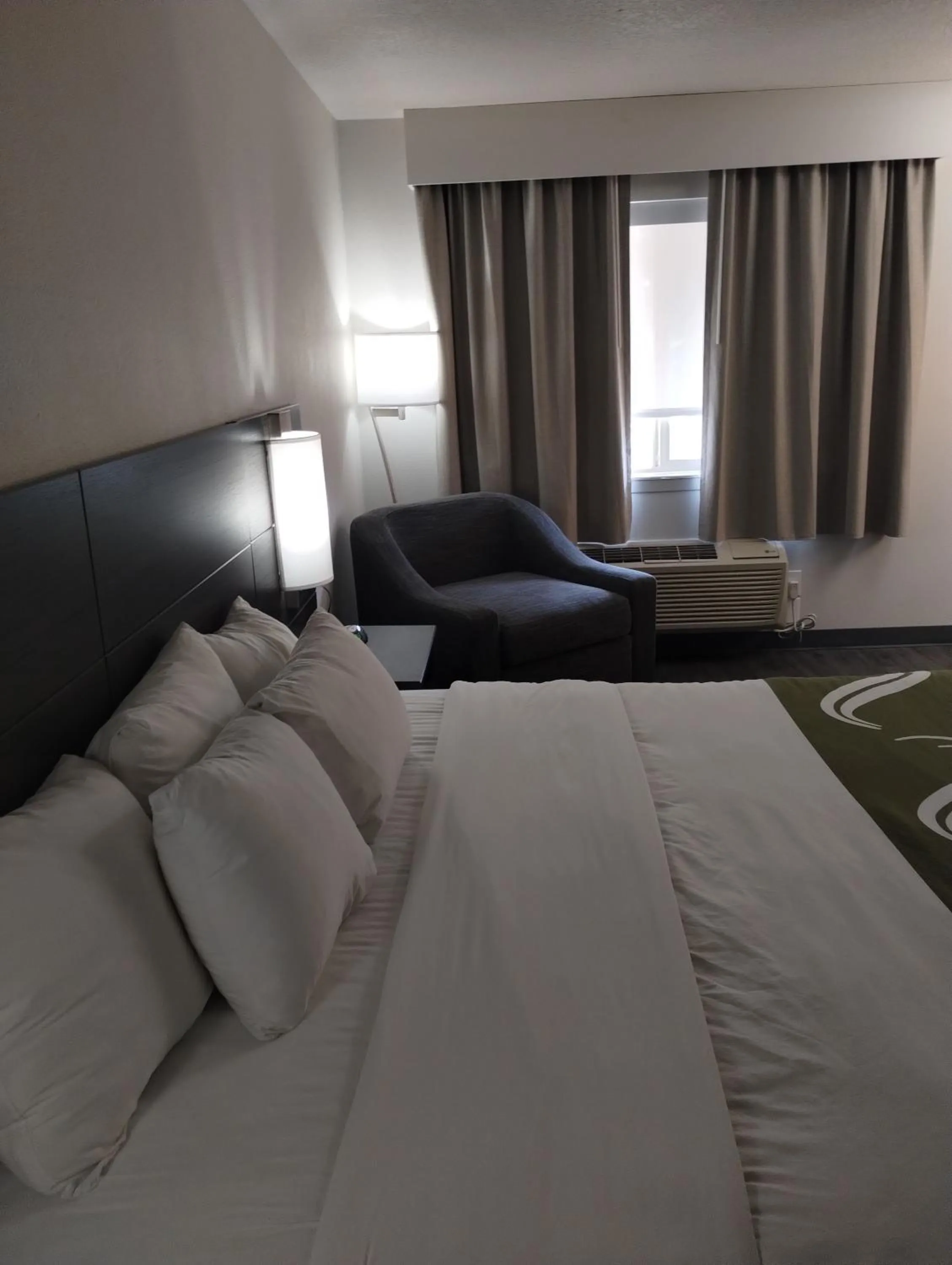 Bed in Quality Inn & Suites Wilsonville