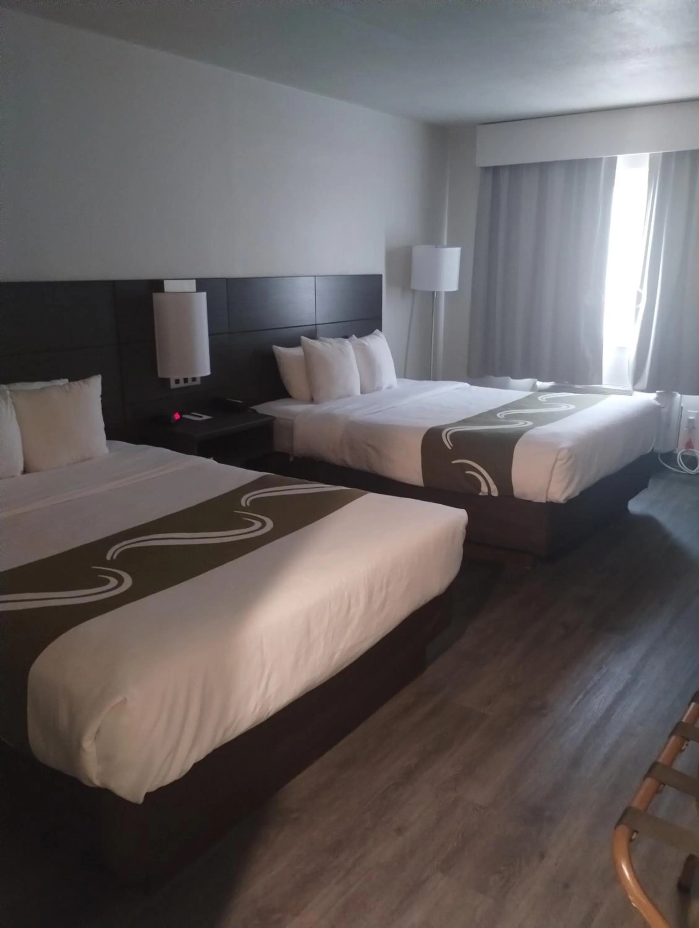 Bed in Quality Inn & Suites Wilsonville