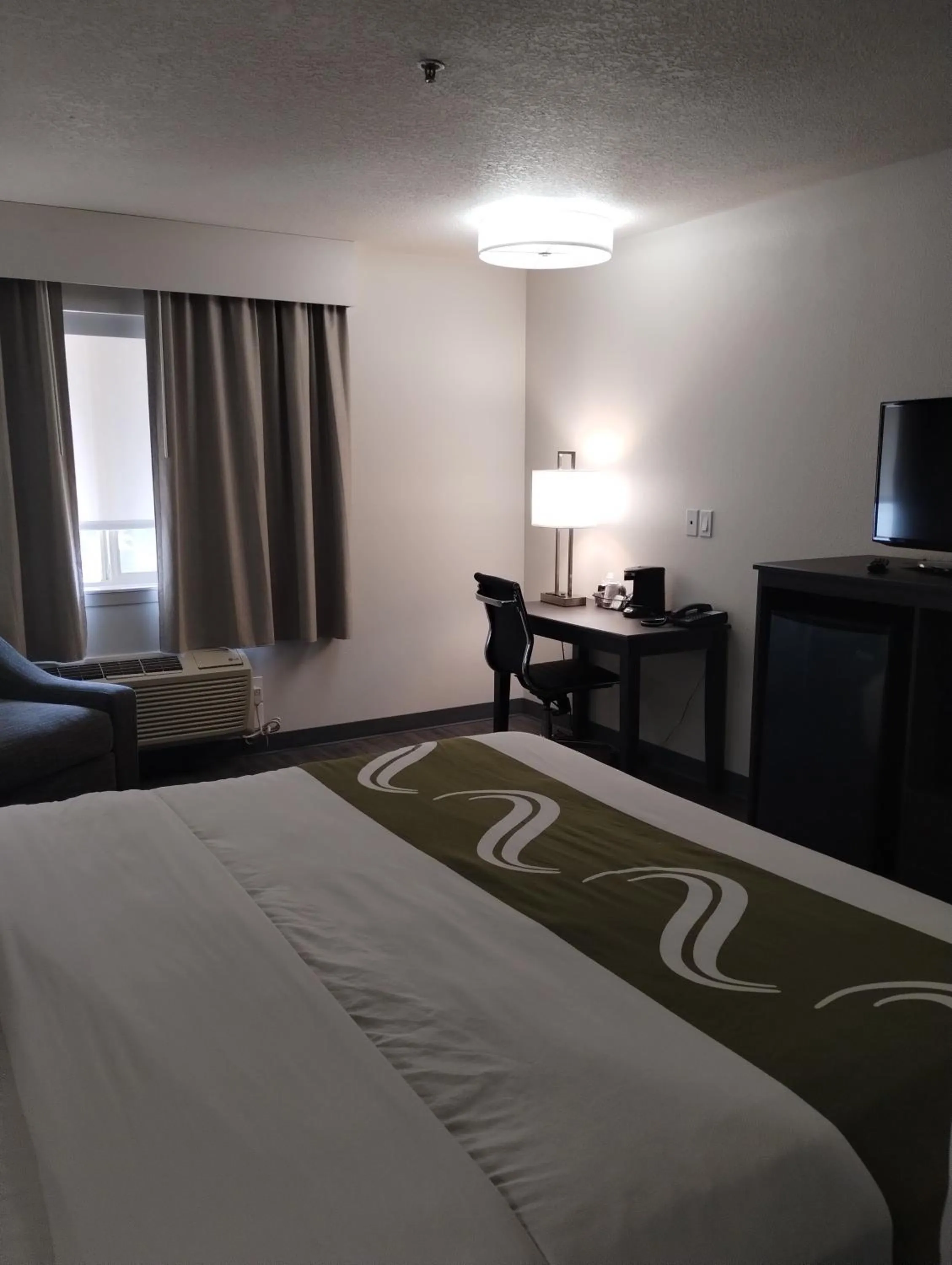 TV and multimedia, Bed in Quality Inn & Suites Wilsonville