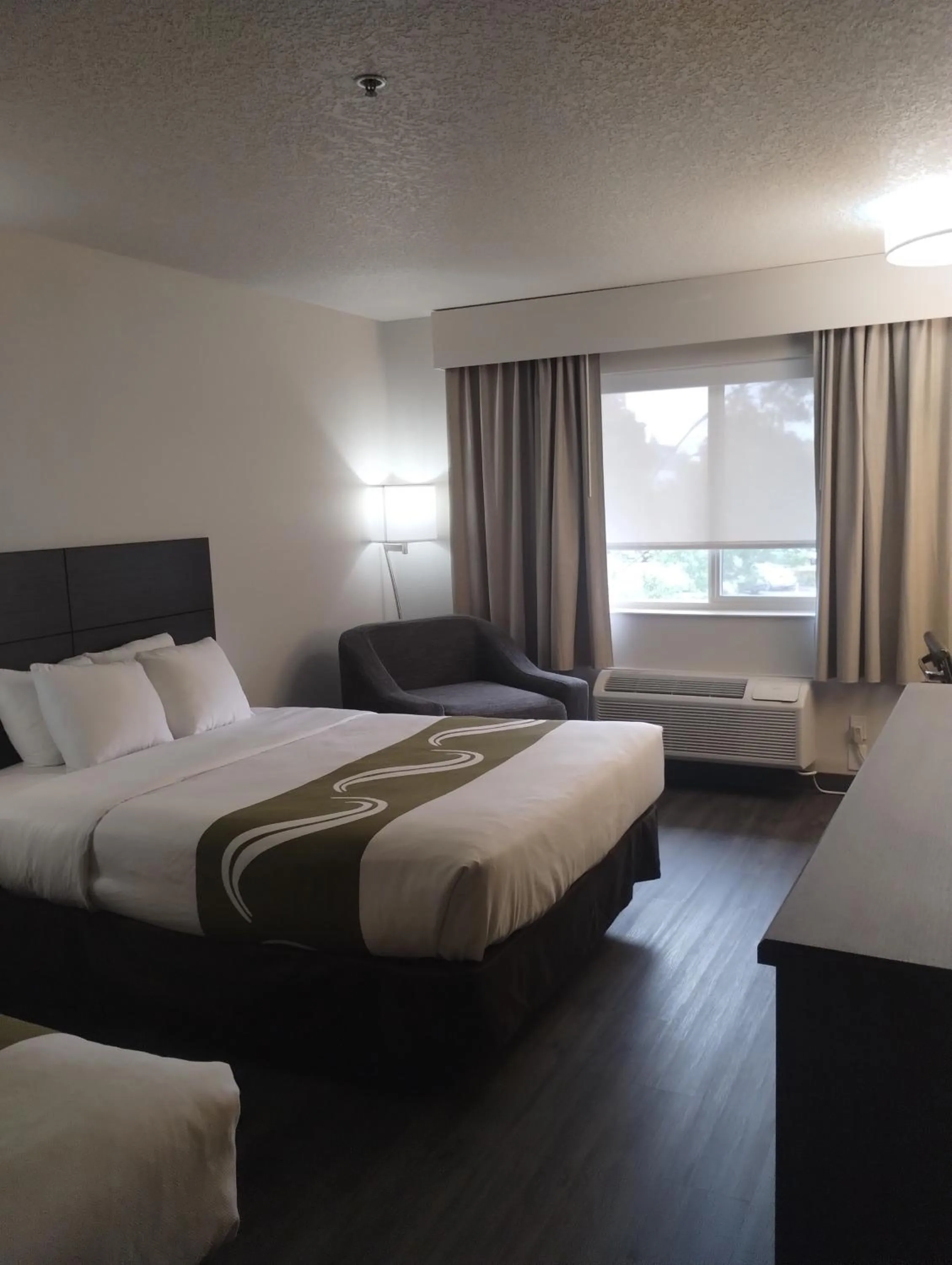 Photo of the whole room, Bed in Quality Inn & Suites Wilsonville