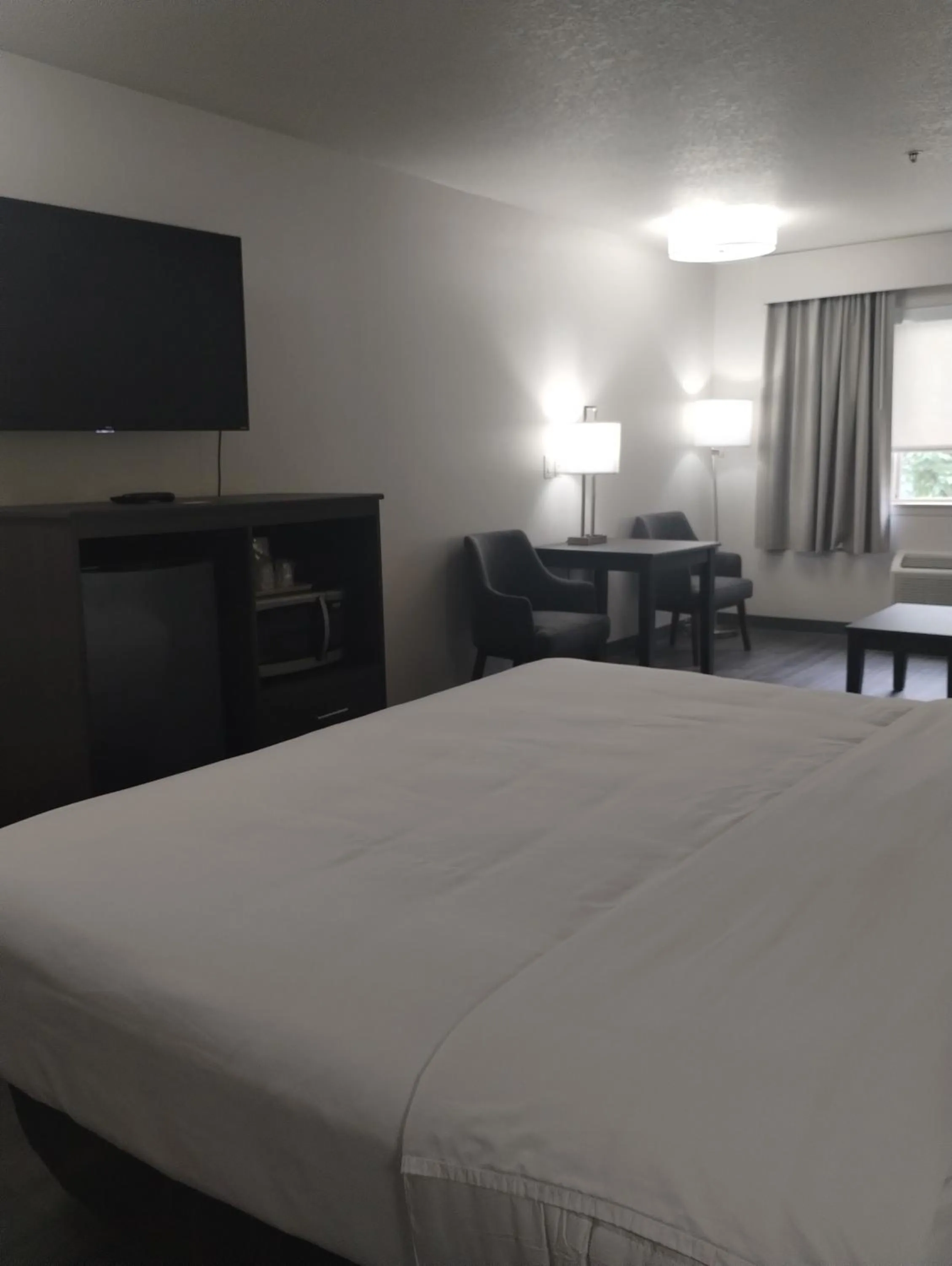 Bed in Quality Inn & Suites Wilsonville