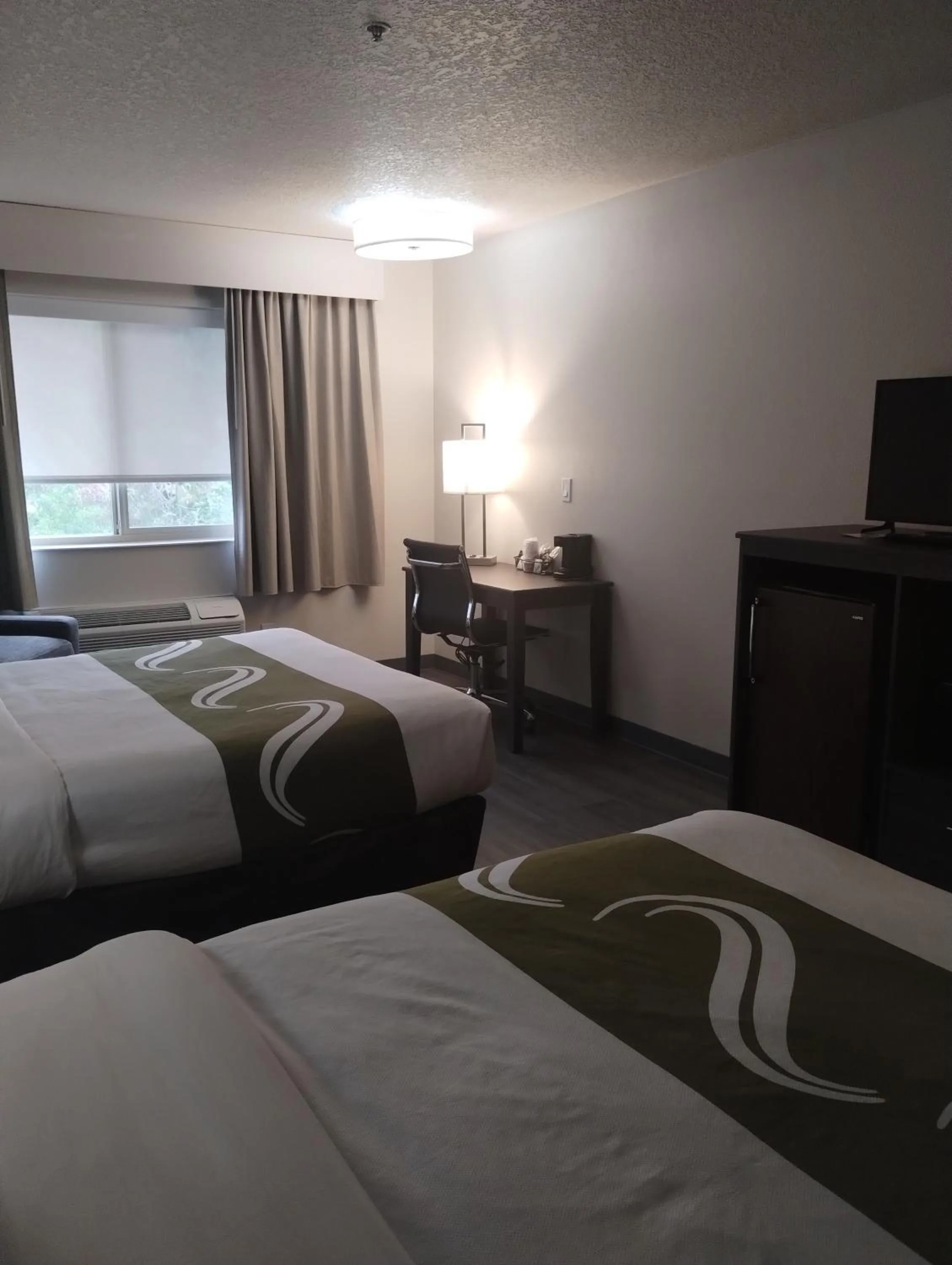 Bed in Quality Inn & Suites Wilsonville