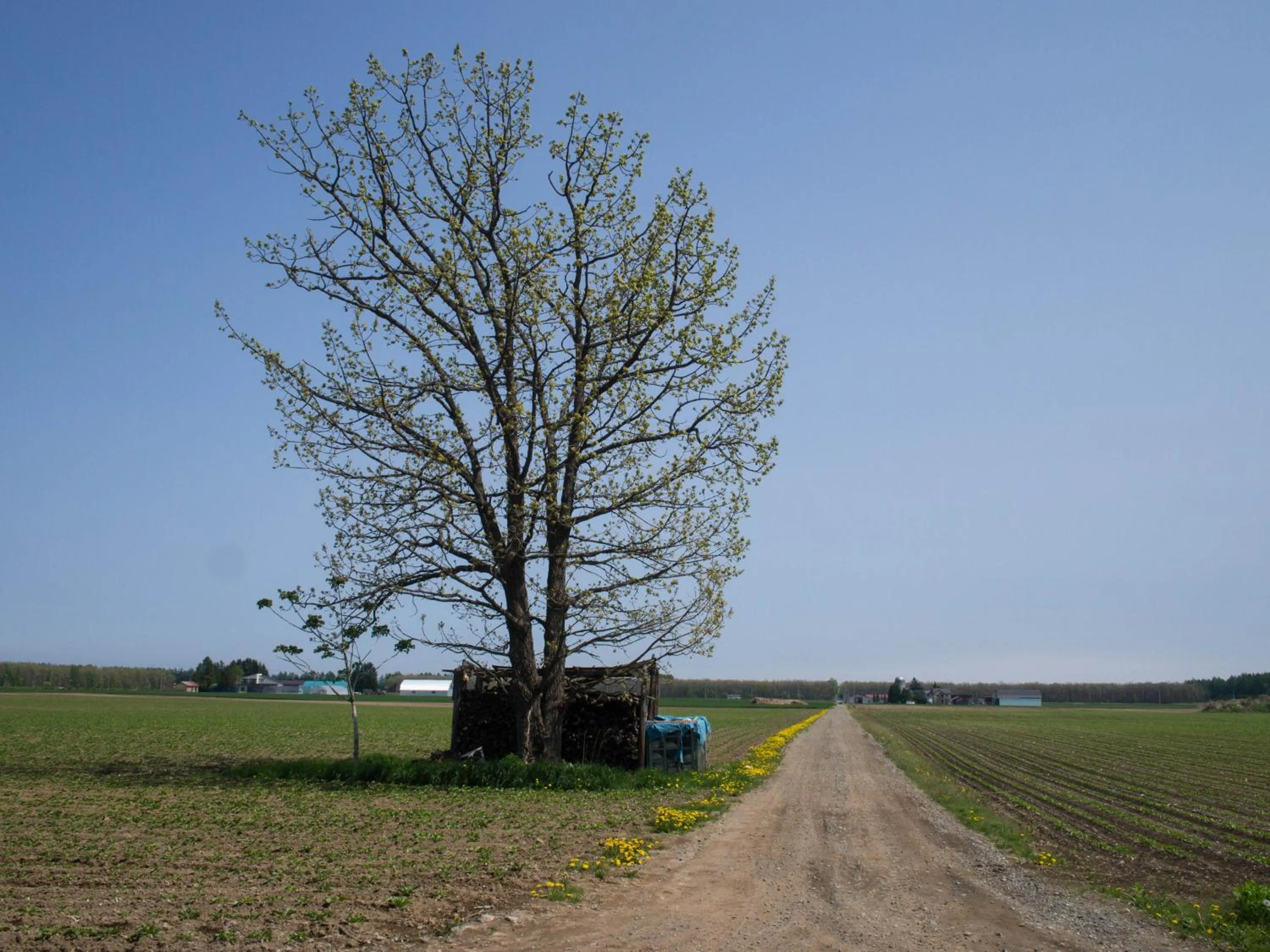 Off site in Guesthouse Canterbury