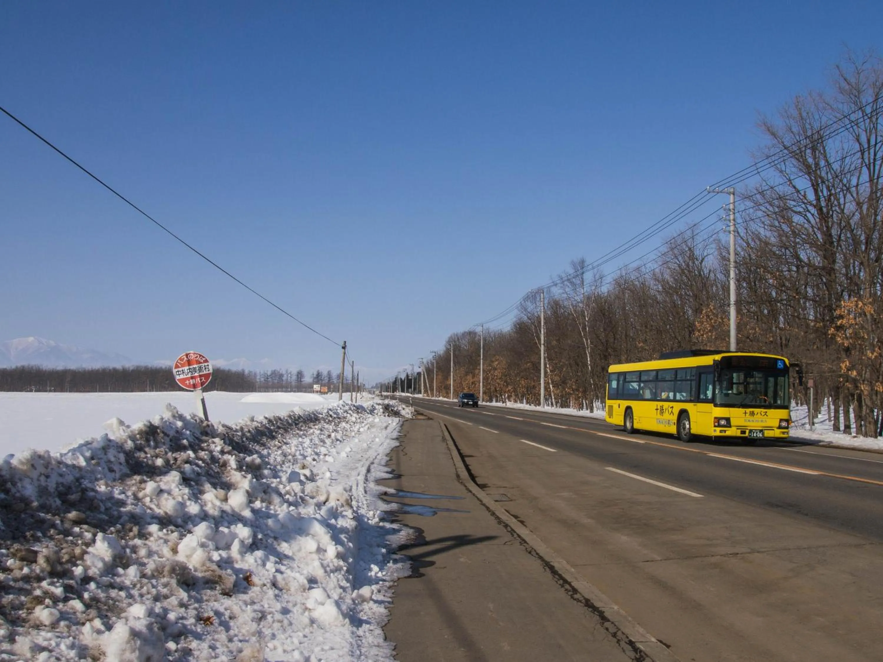 Off site in Guesthouse Canterbury