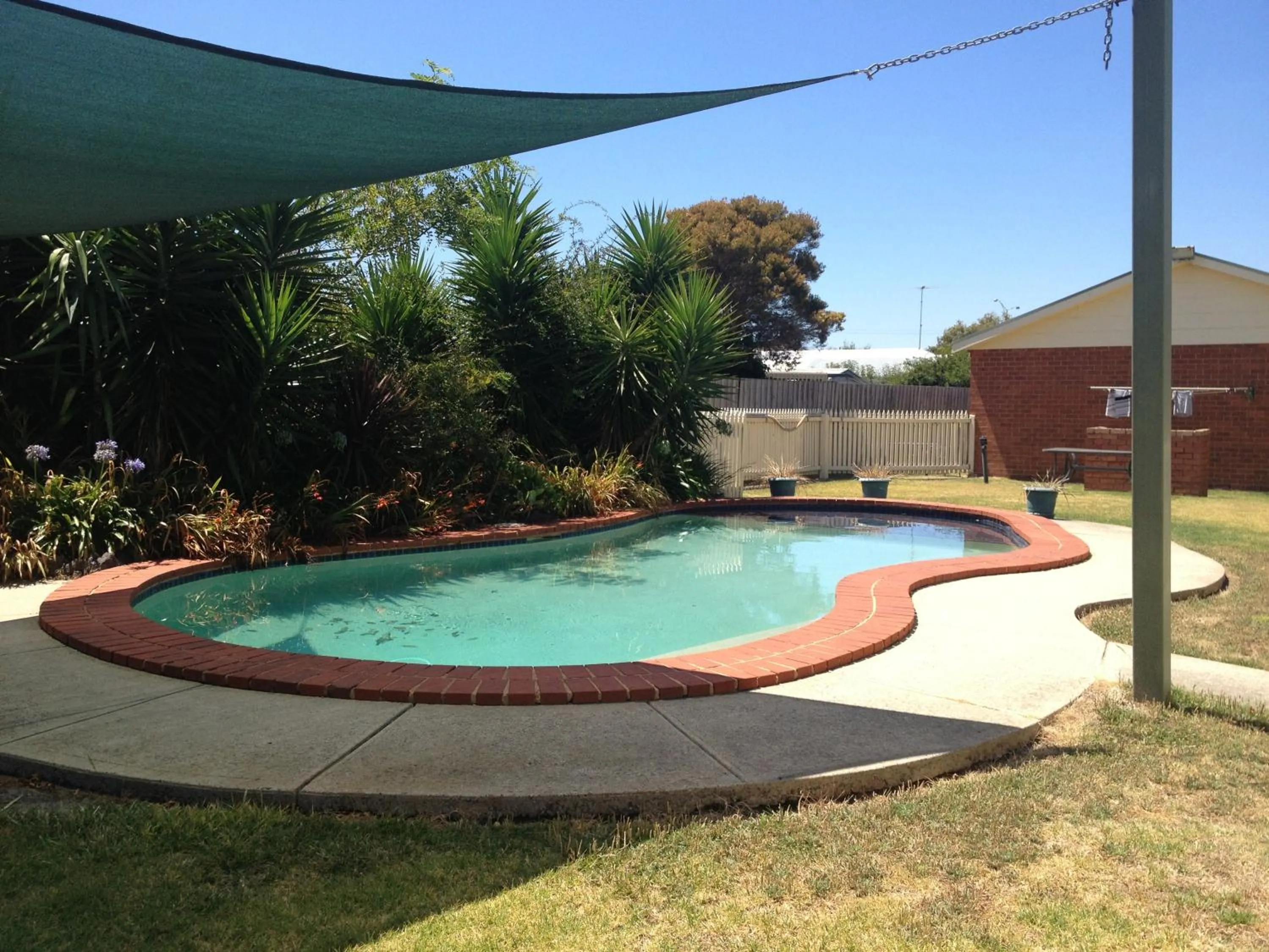 Swimming pool in Rose Garden Motel