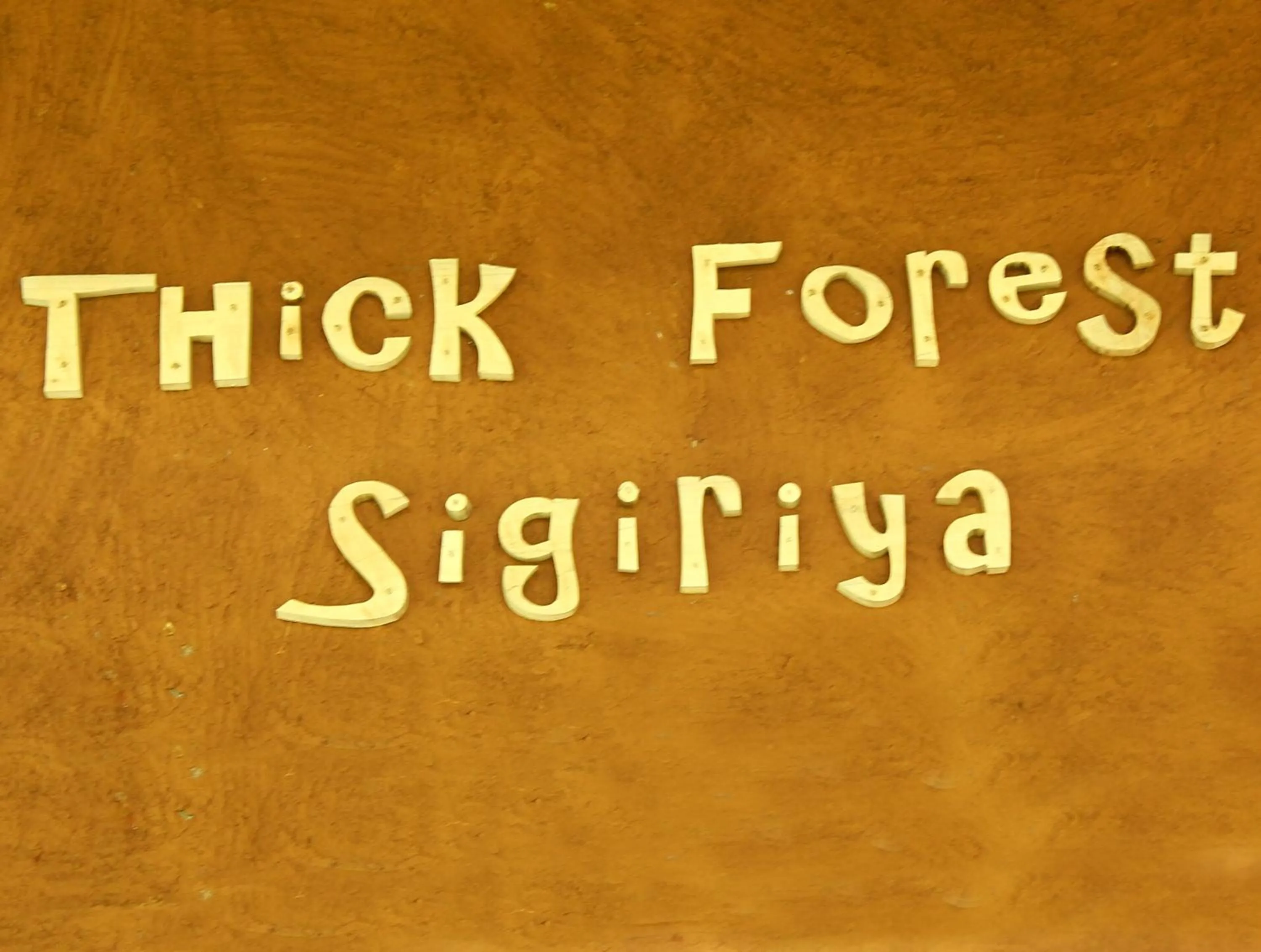 Property logo or sign in The Thick Forest