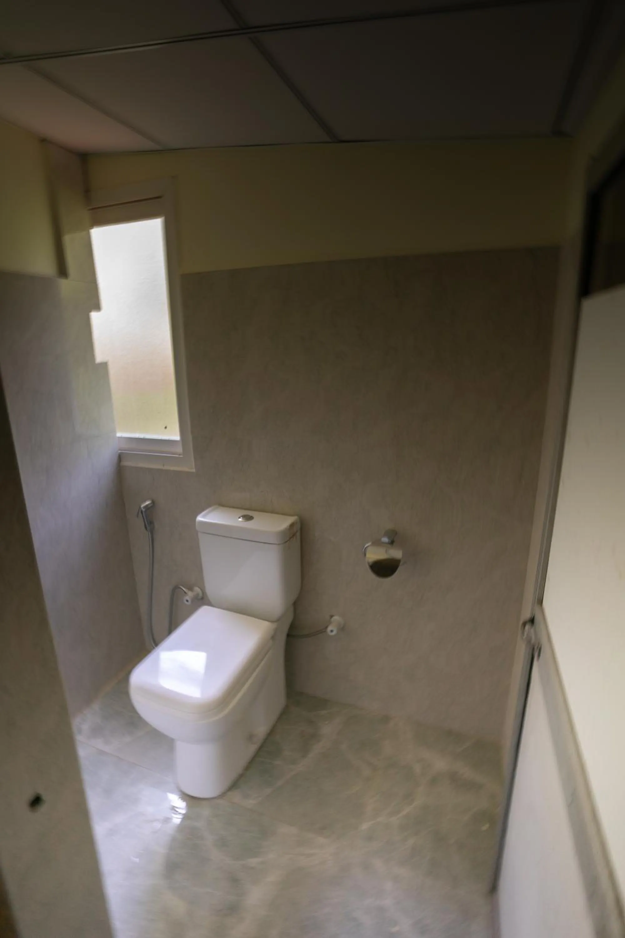 Toilet in The Thick Forest