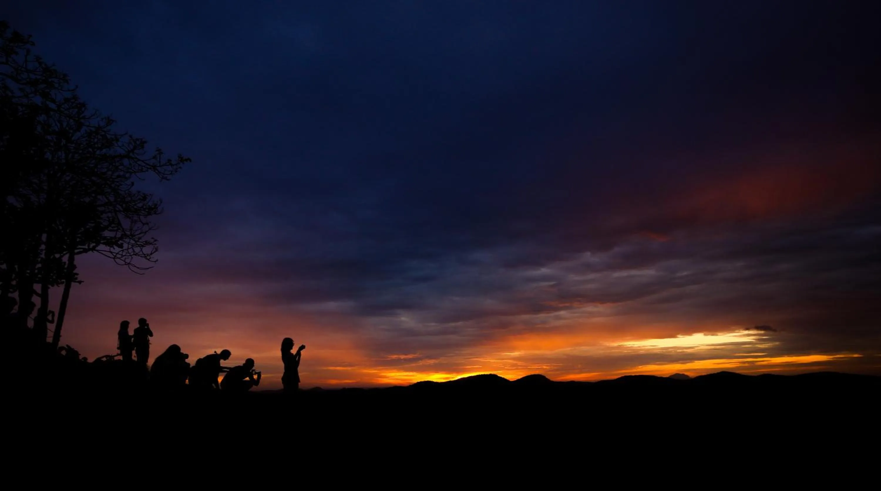 Off site in The Thick Forest