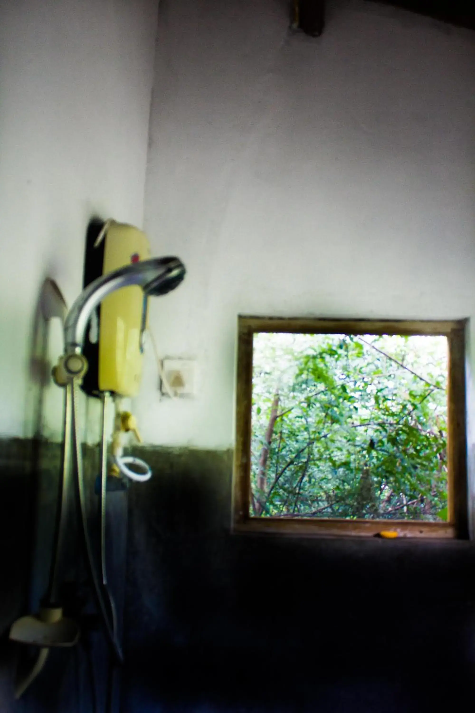 Double Room with Mountain View in The Thick Forest Double Room with Mountain View in The Thick Forest