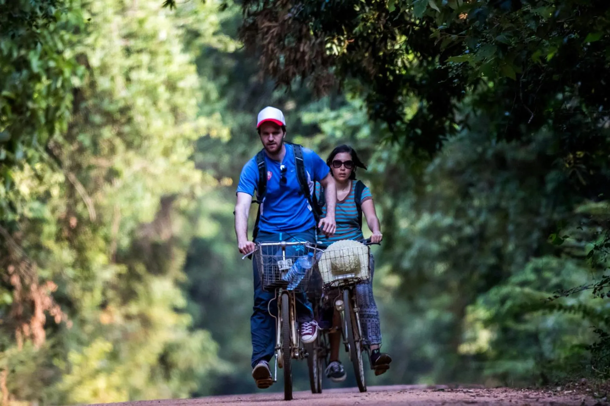 Garden in The Thick Forest